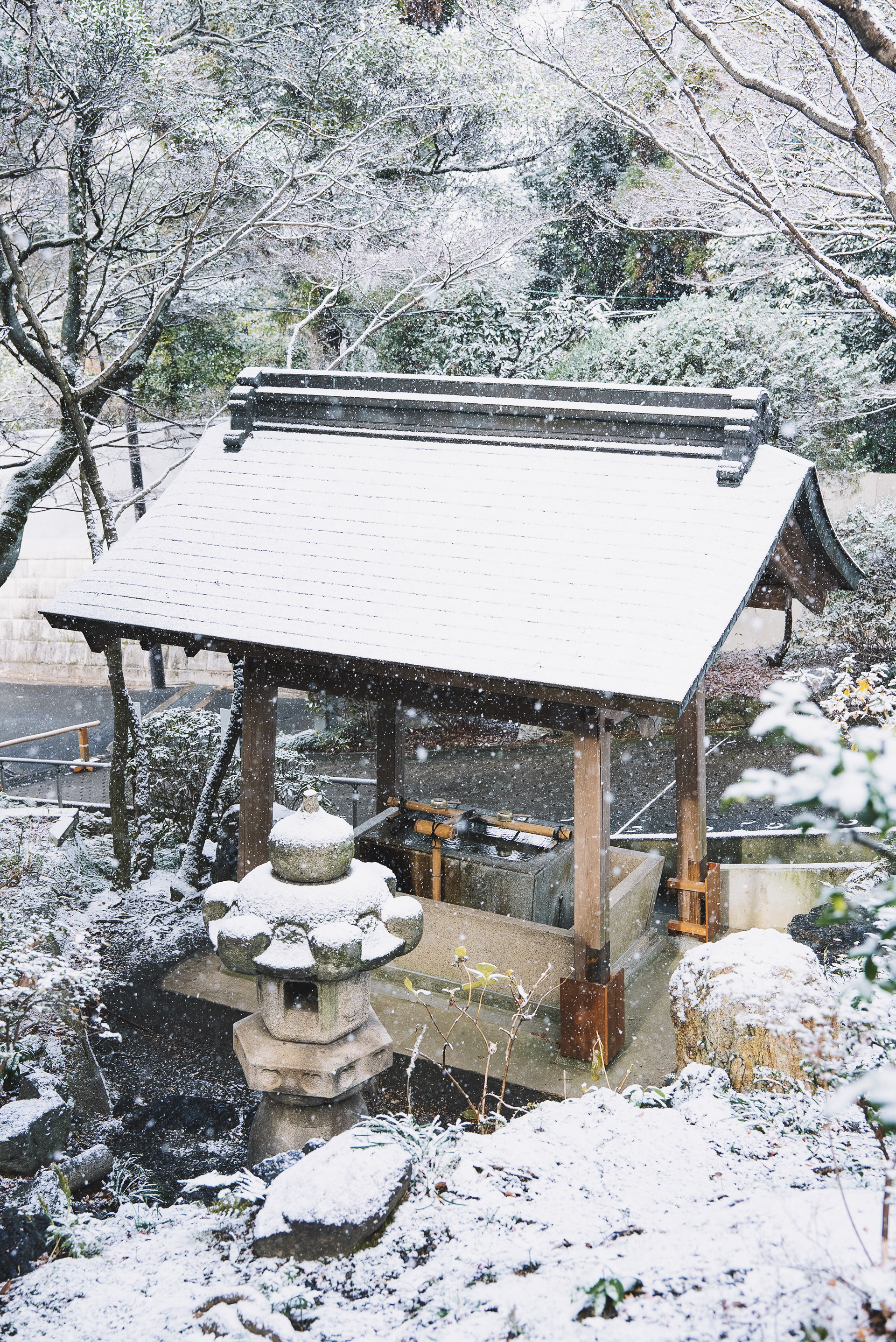 Kyoto 2025