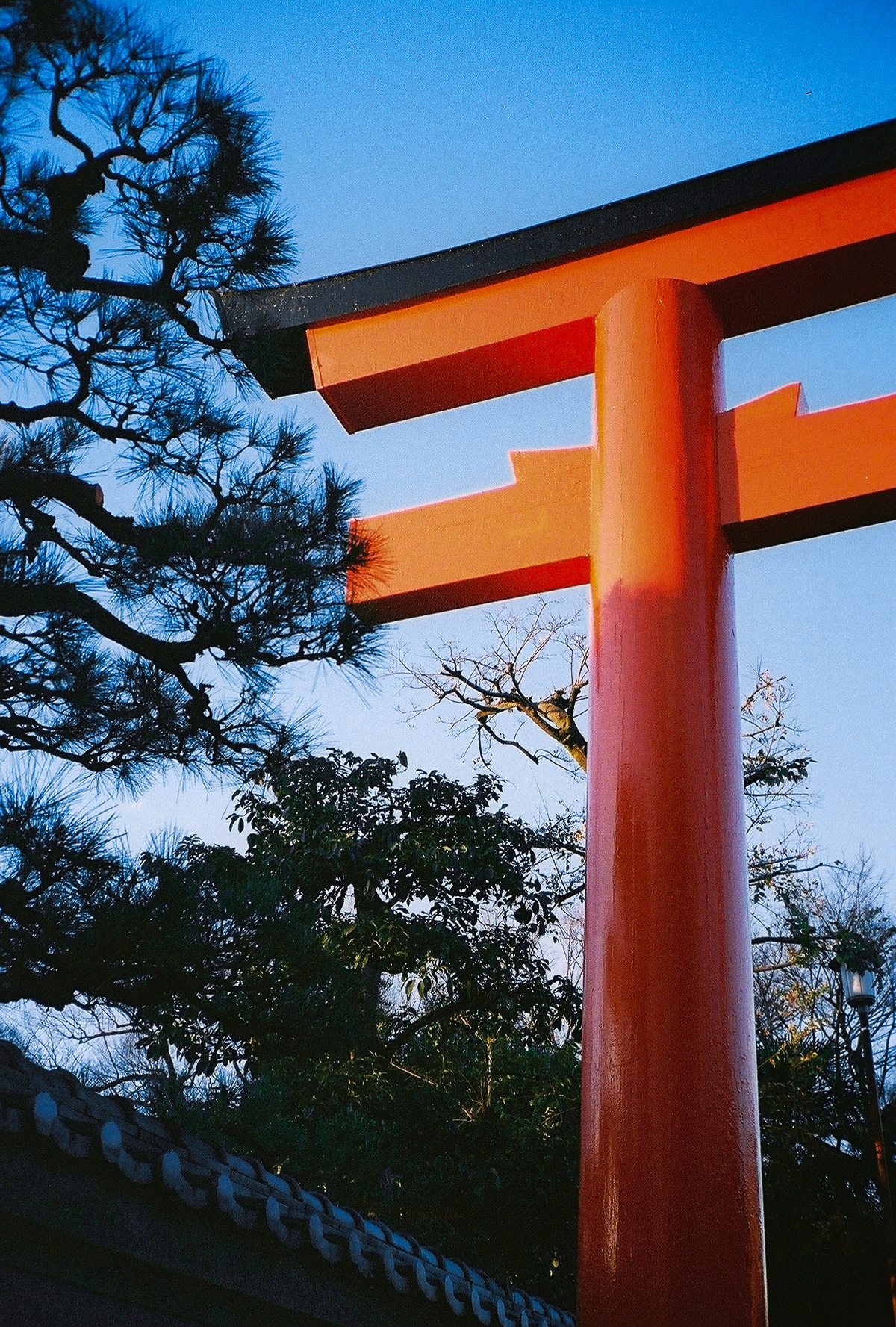 Kyoto 2025