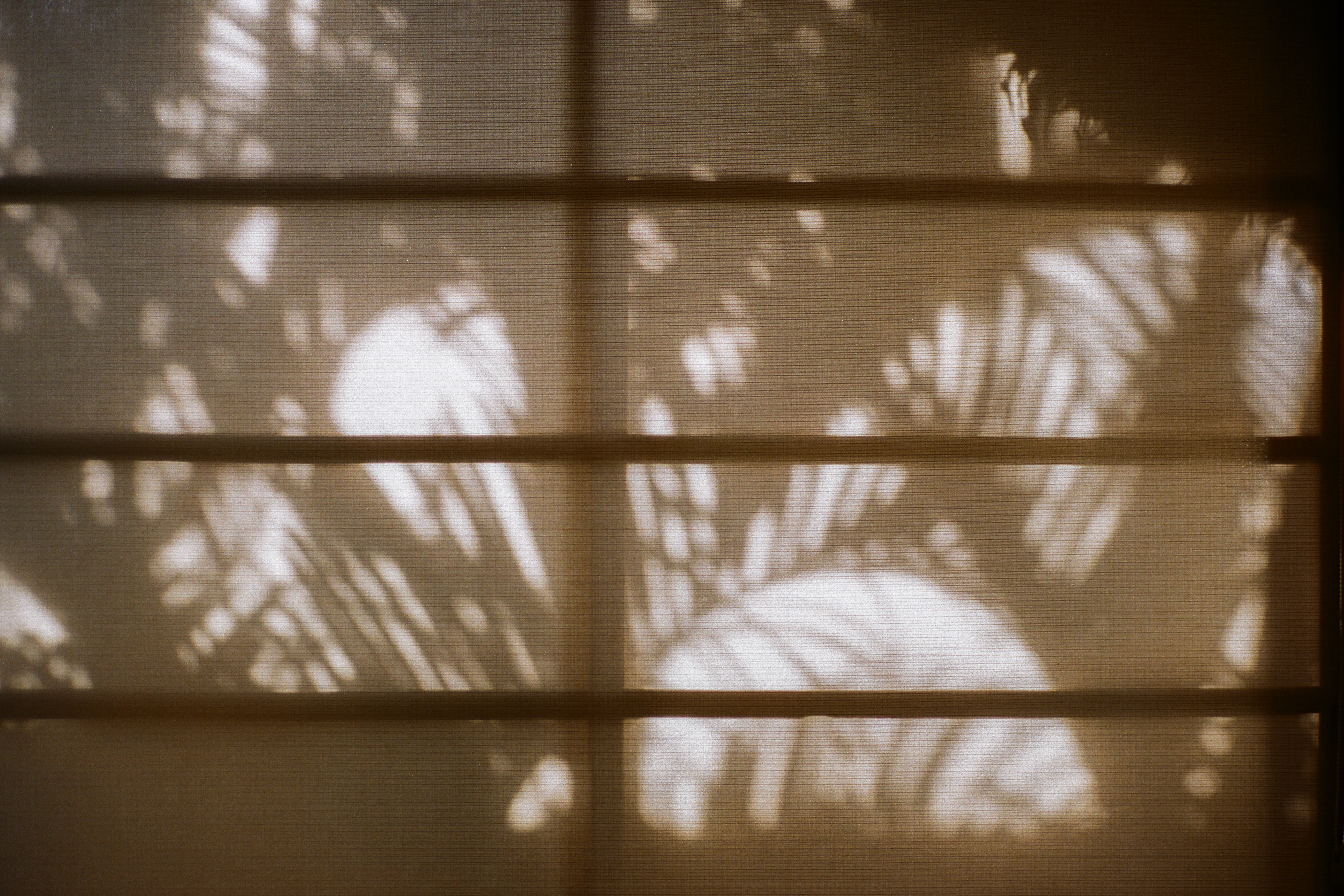 Bali 2024 (35mm)