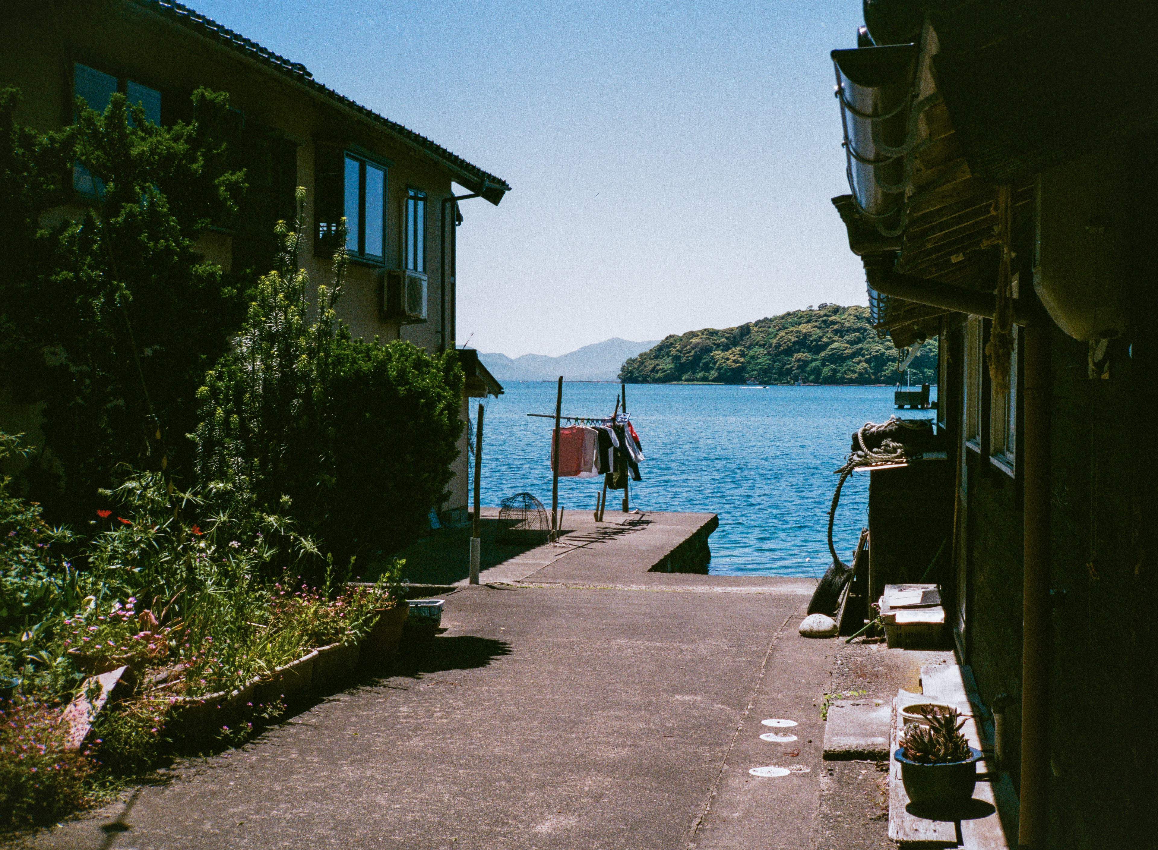 Ine, Kyoto 2024 (35mm)
