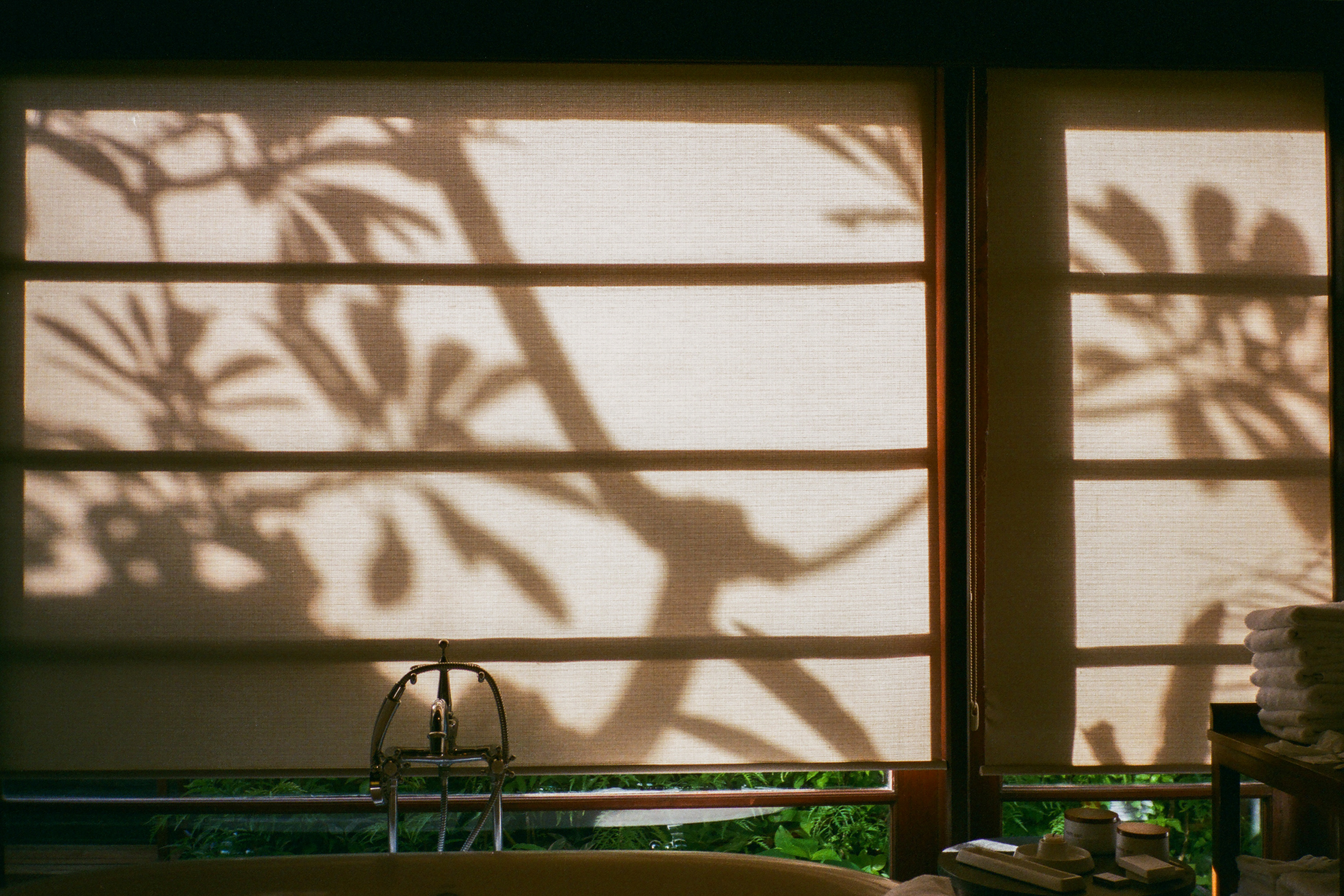 Bali 2024 (35mm)
