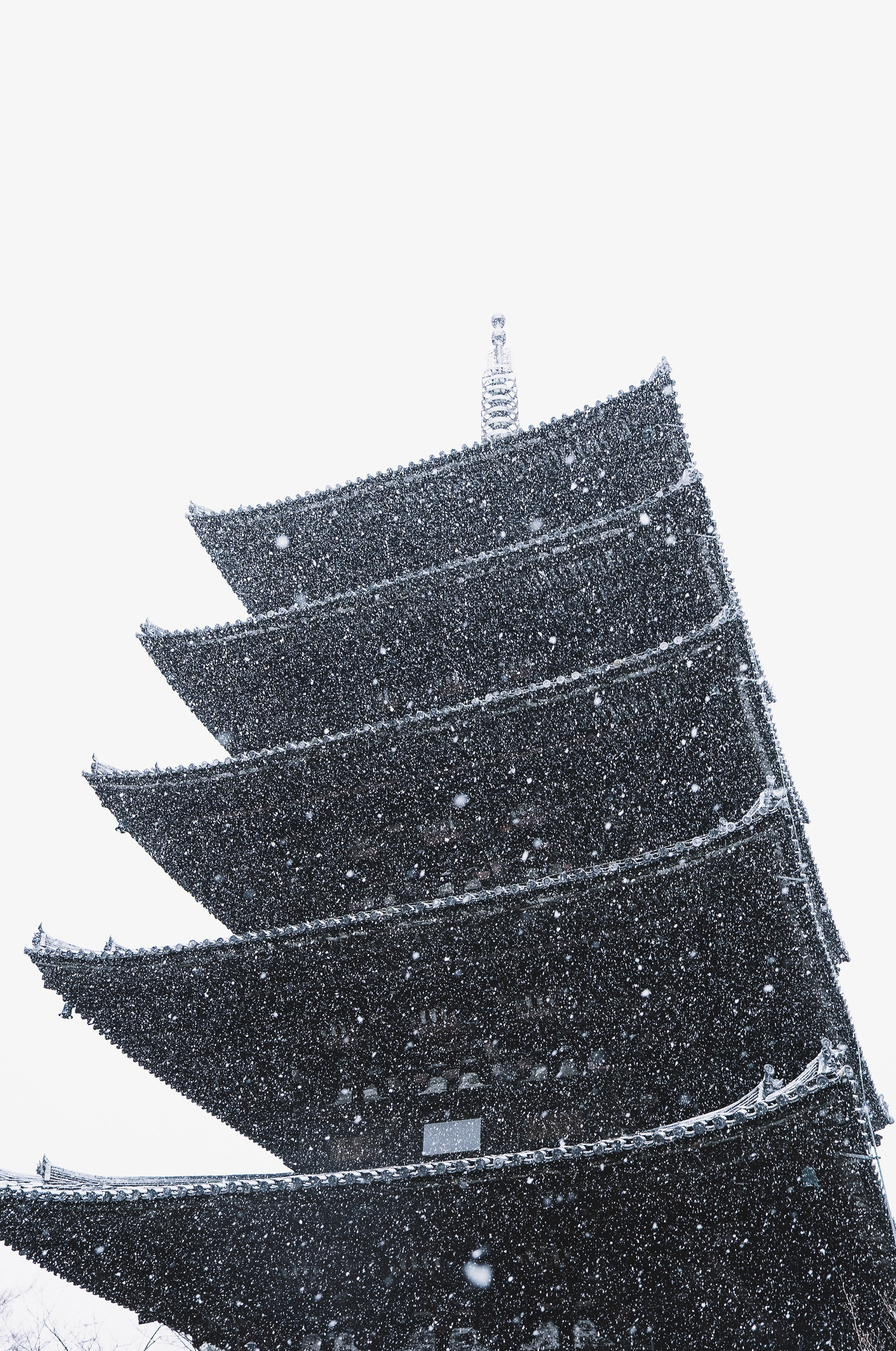 Kyoto 2025