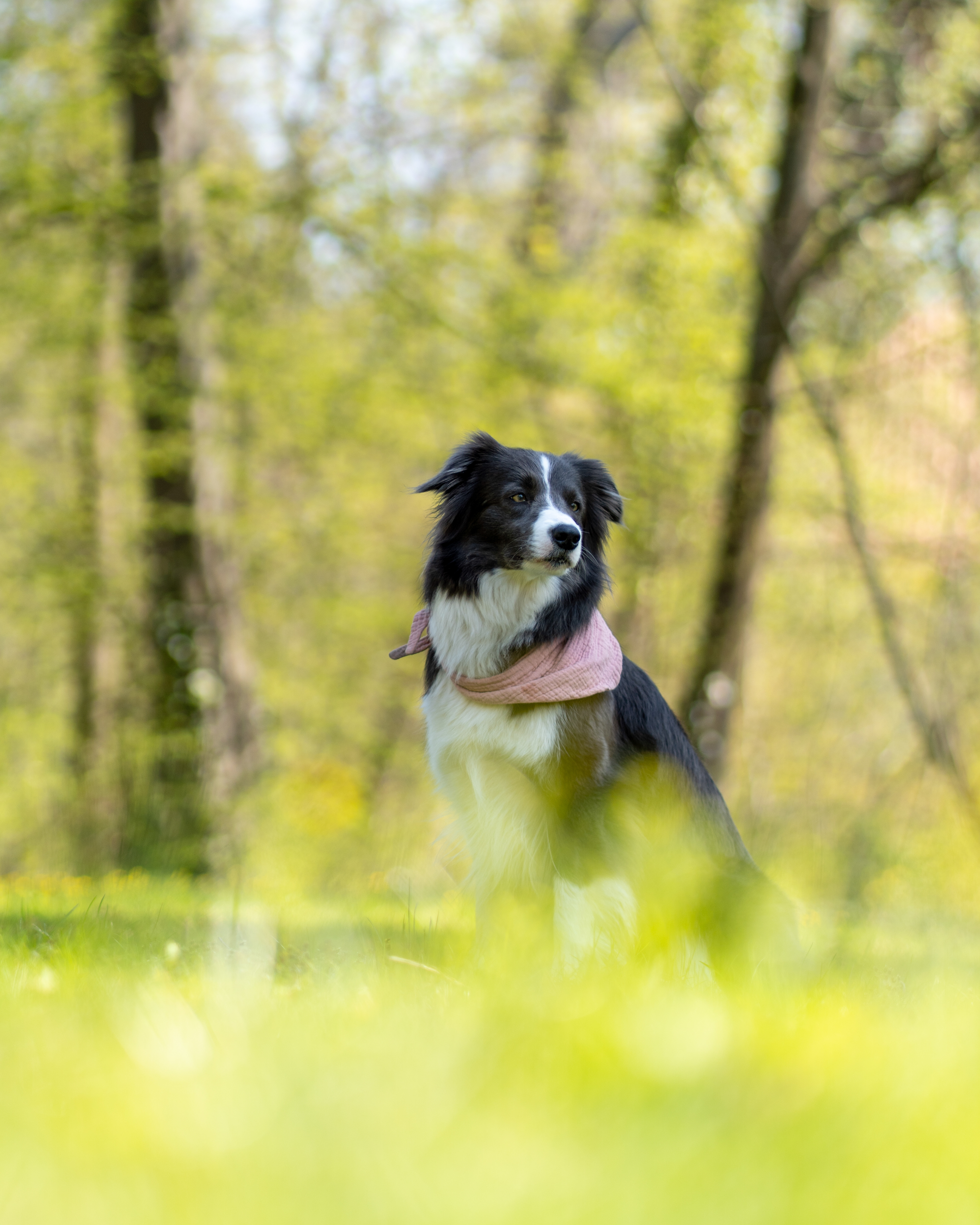 Nyla (ig: @annaundnyla)