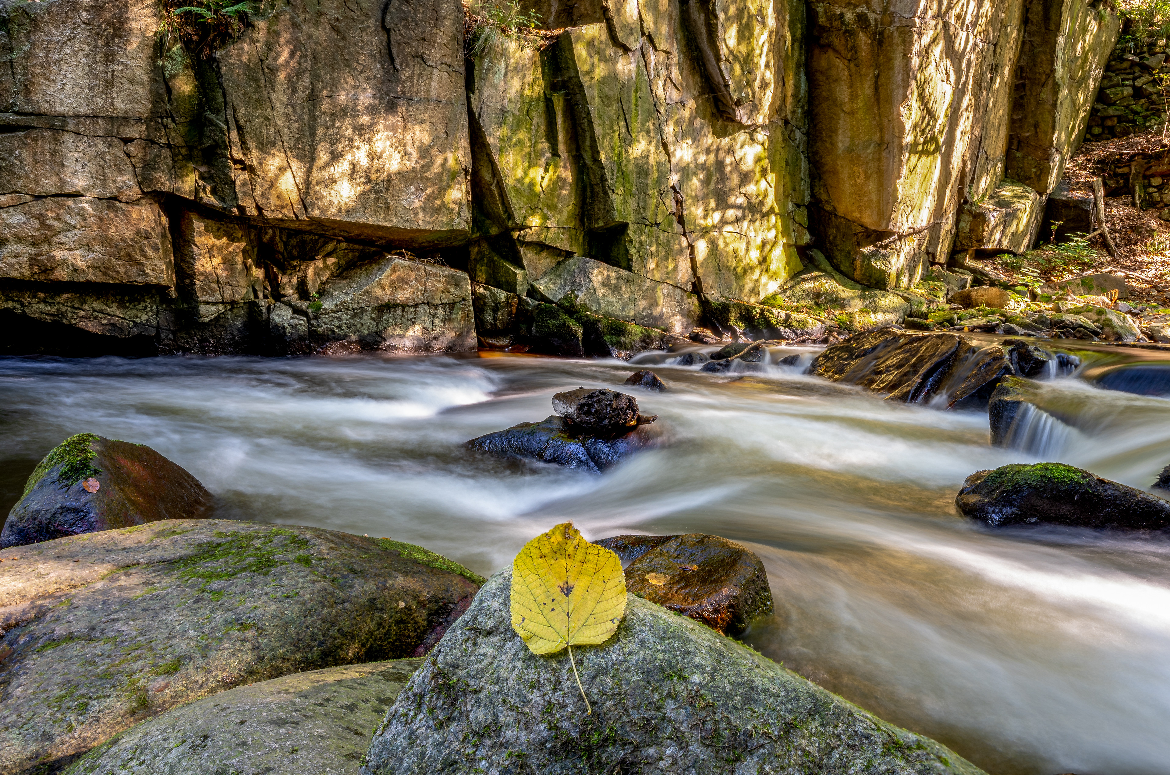Bode im Herbst 2024 (Harz)