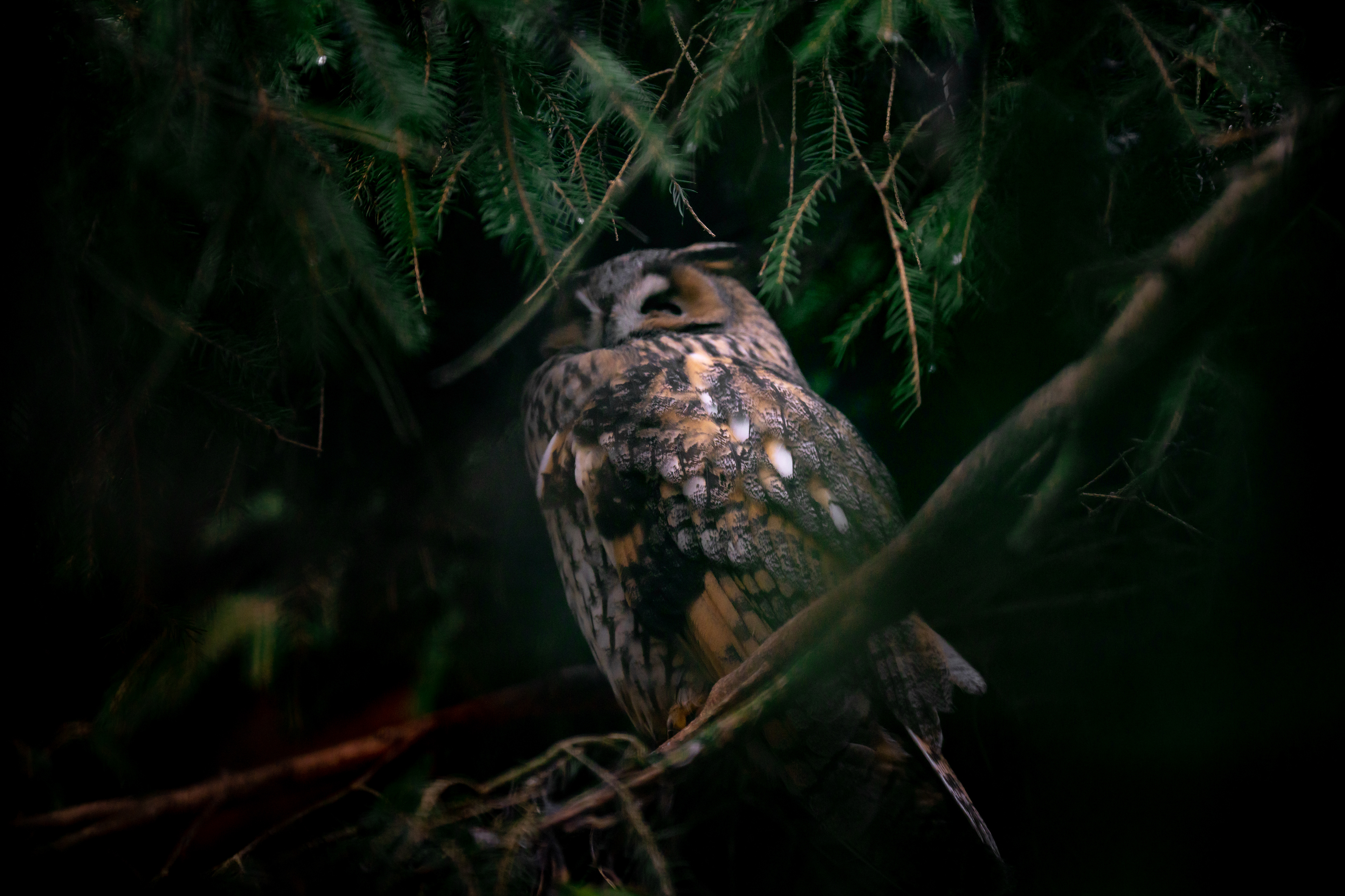 Wildgatter 2023 (Hildesheim)