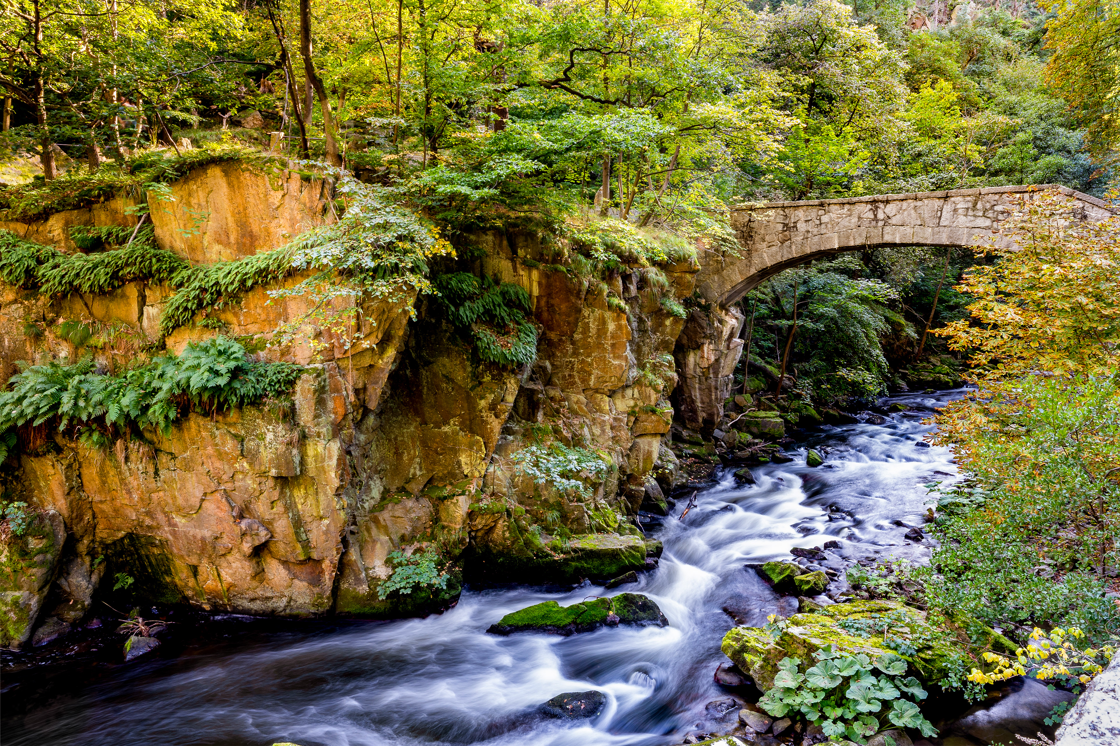 Blick vom Gasthaus Königsruhe 2024 (Harz)