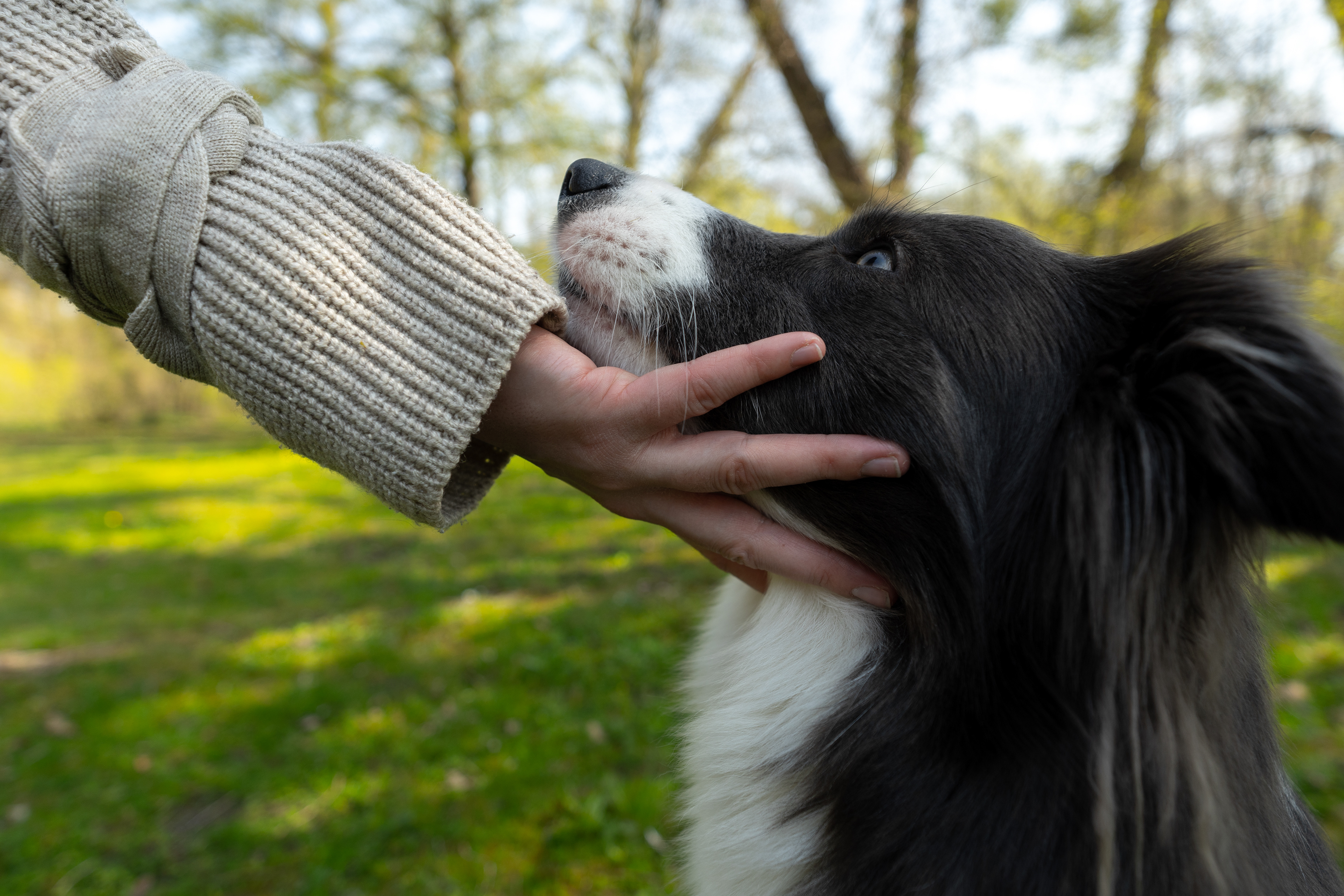 Nyla (ig: @annaundnyla)