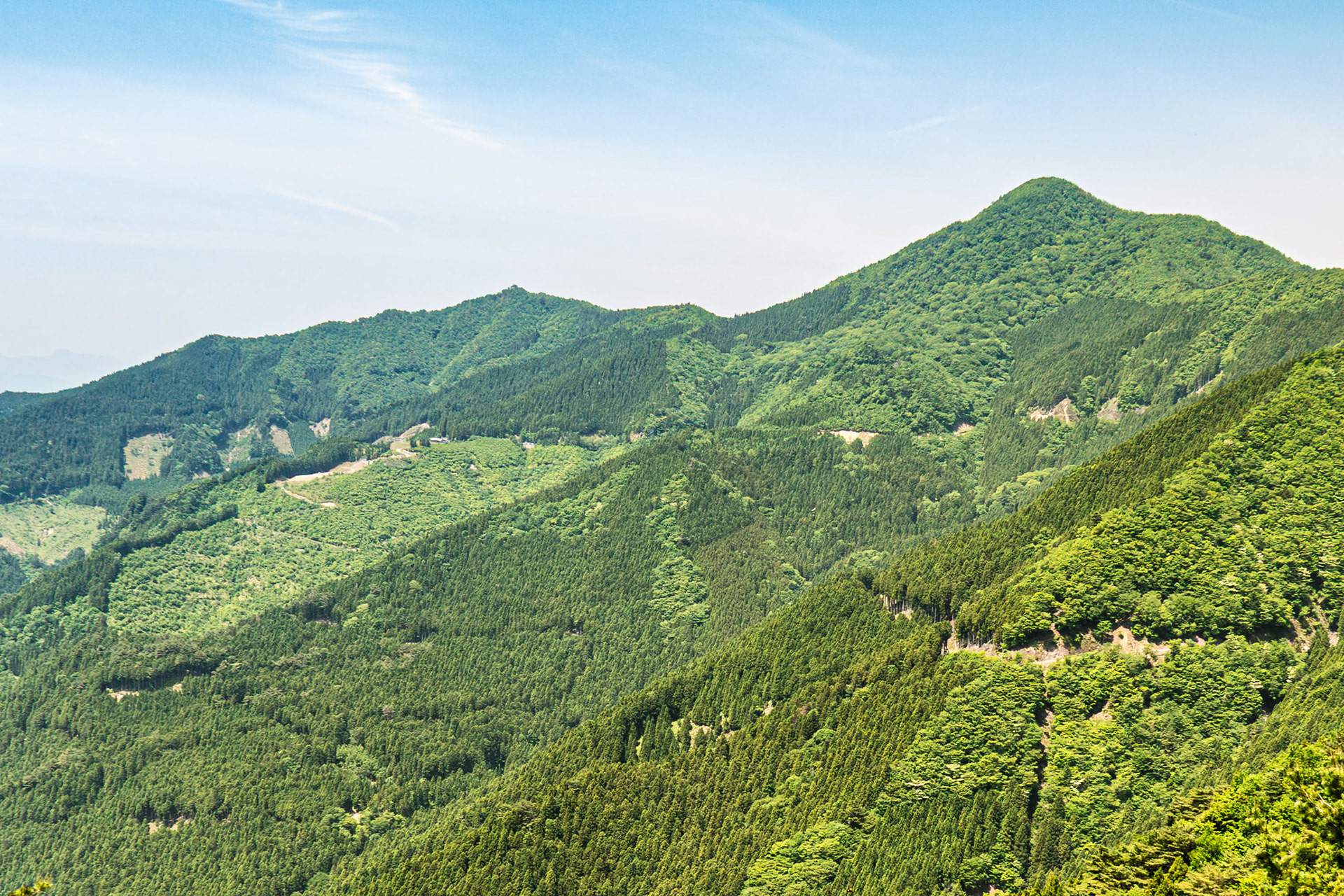 Mt.Takamaru,高丸山,千年の森