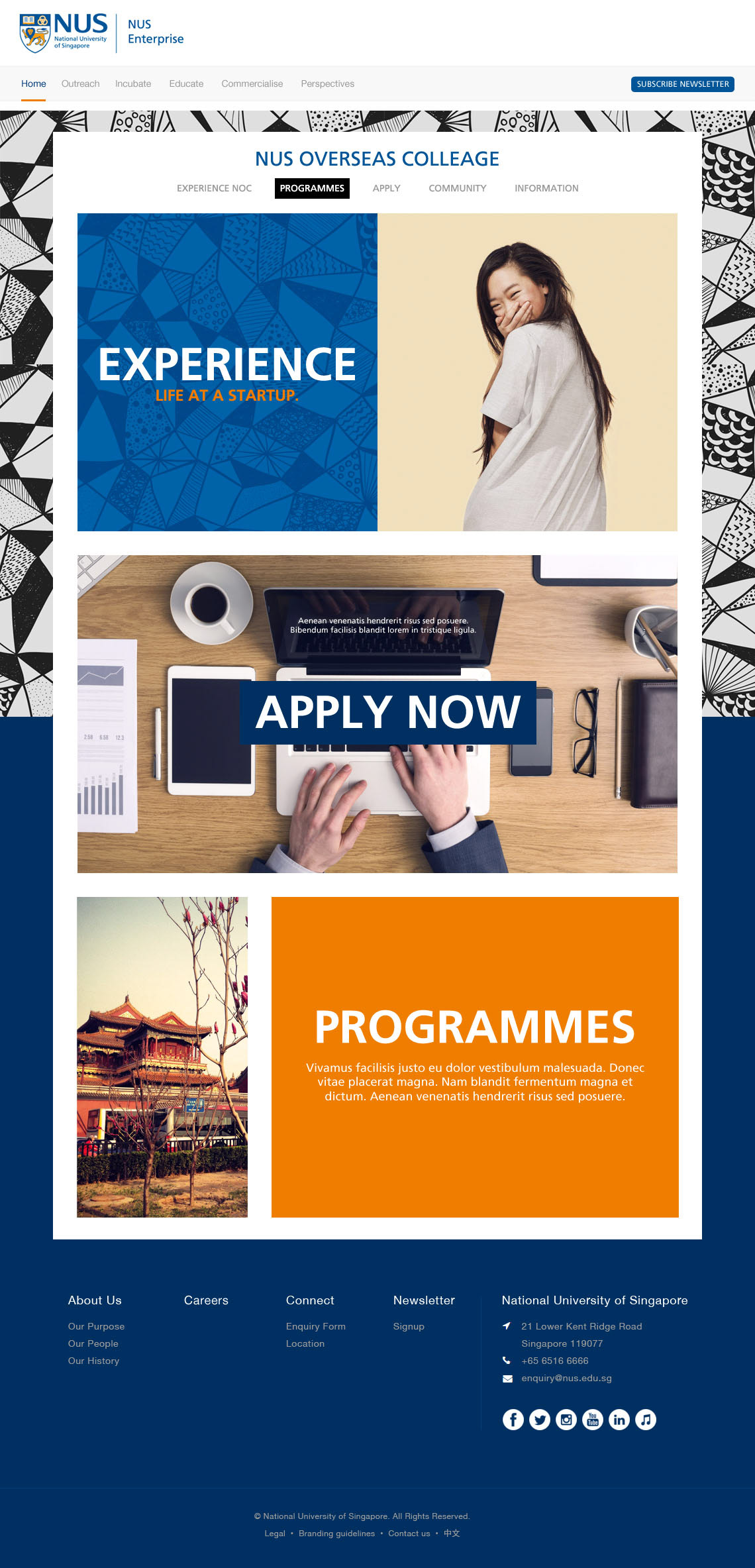 website design for National University of Singapore
