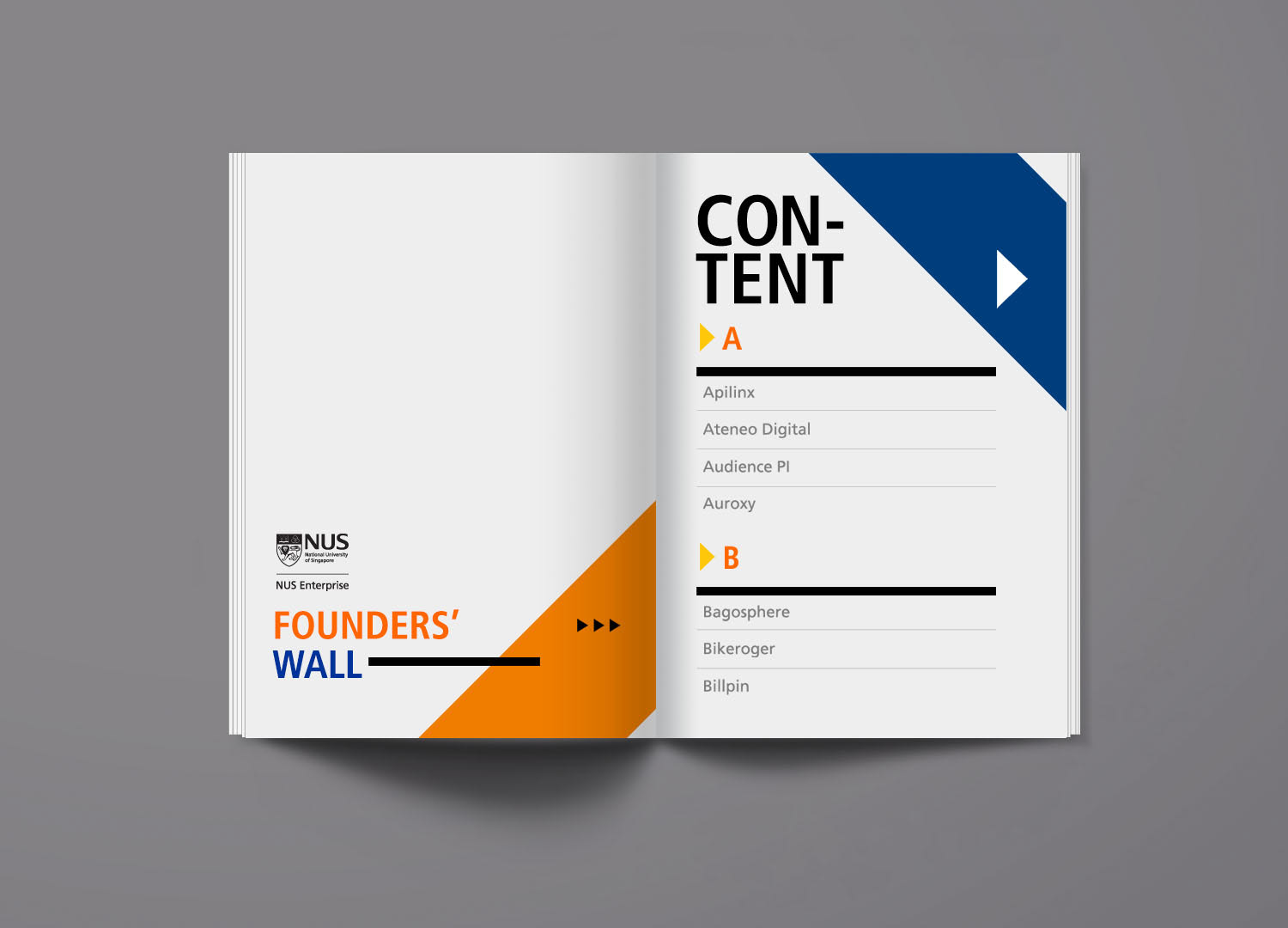 editorial design for National University of Singapore