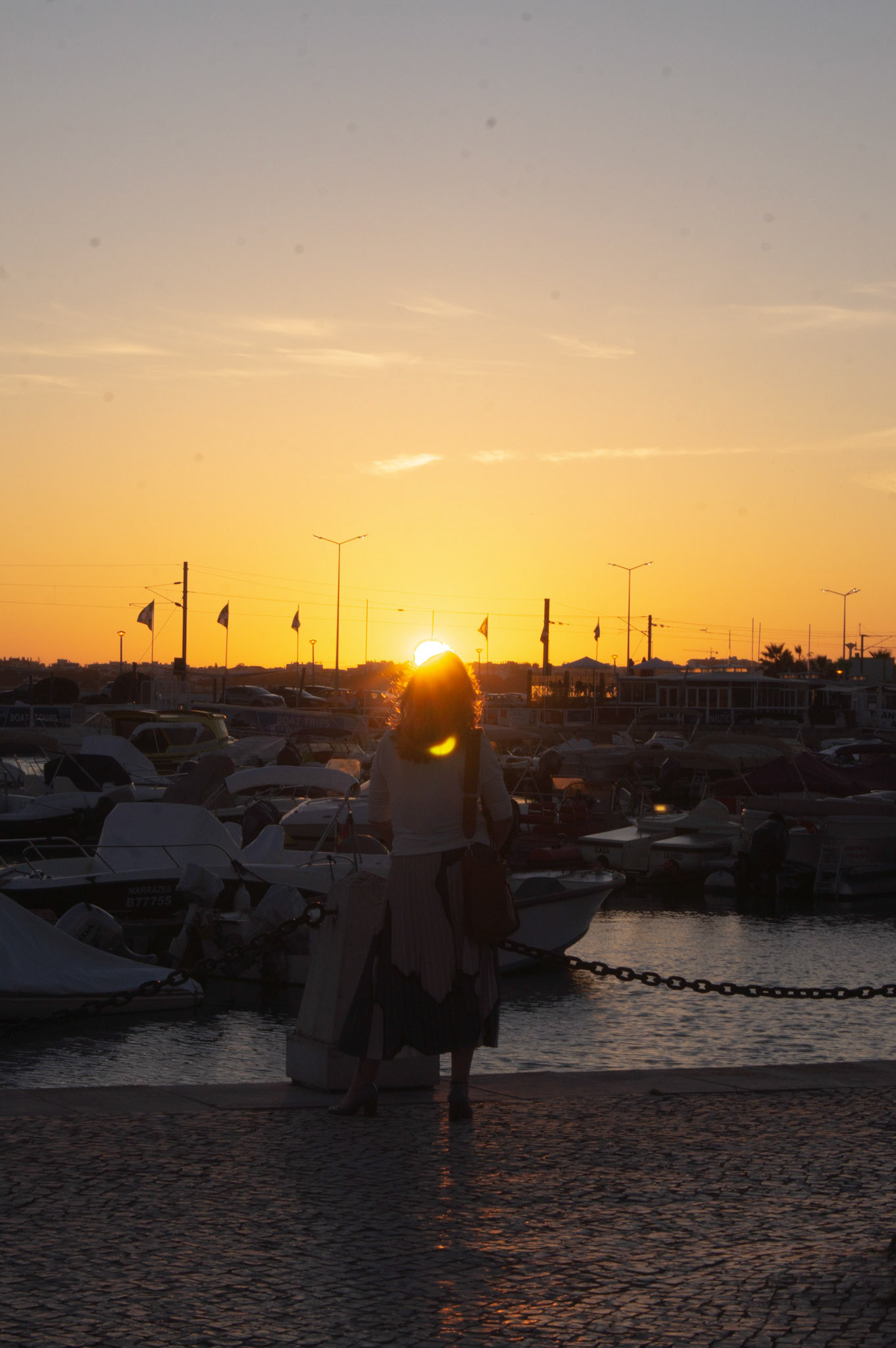 SONY DSC