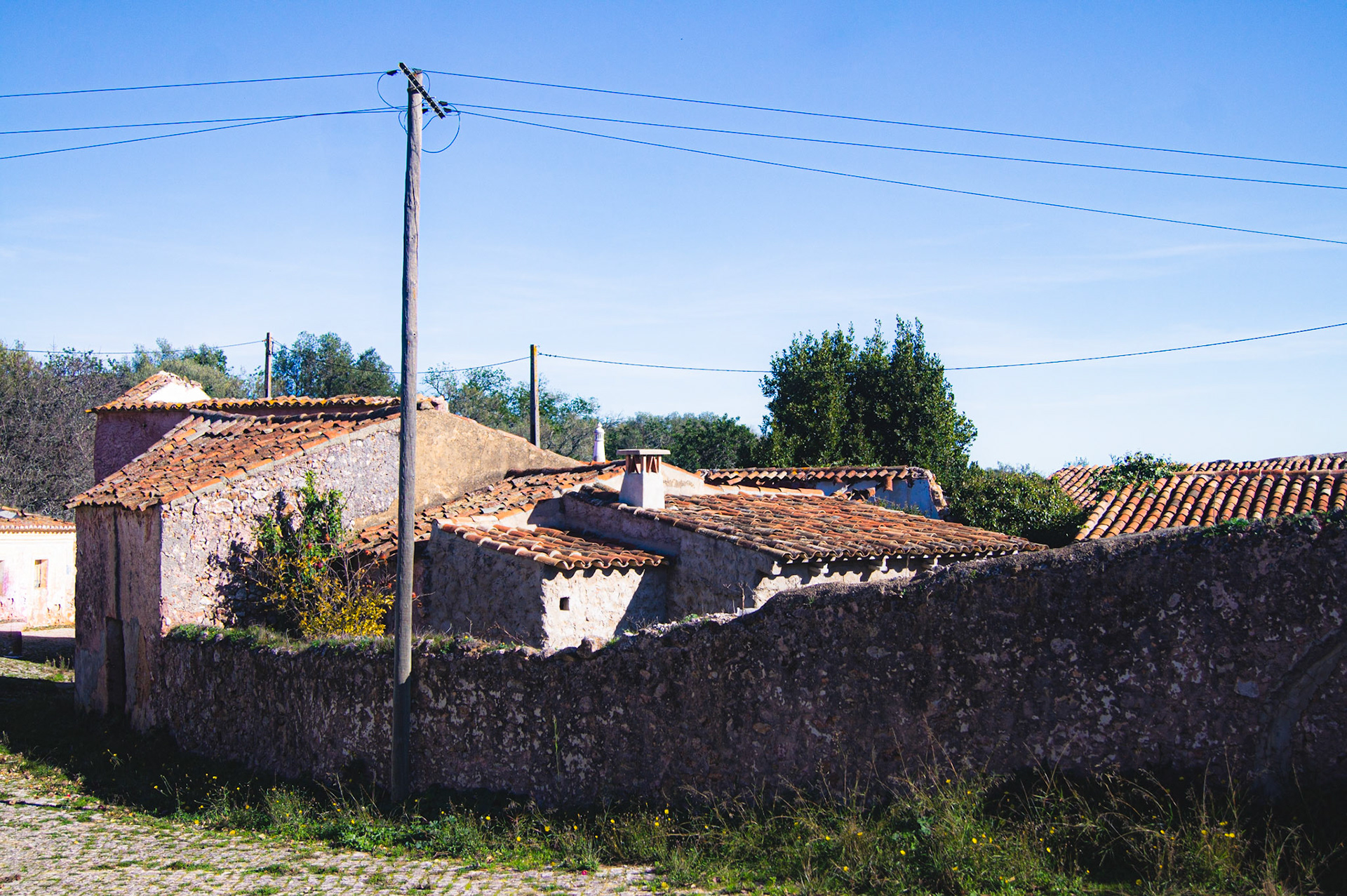 SONY DSC