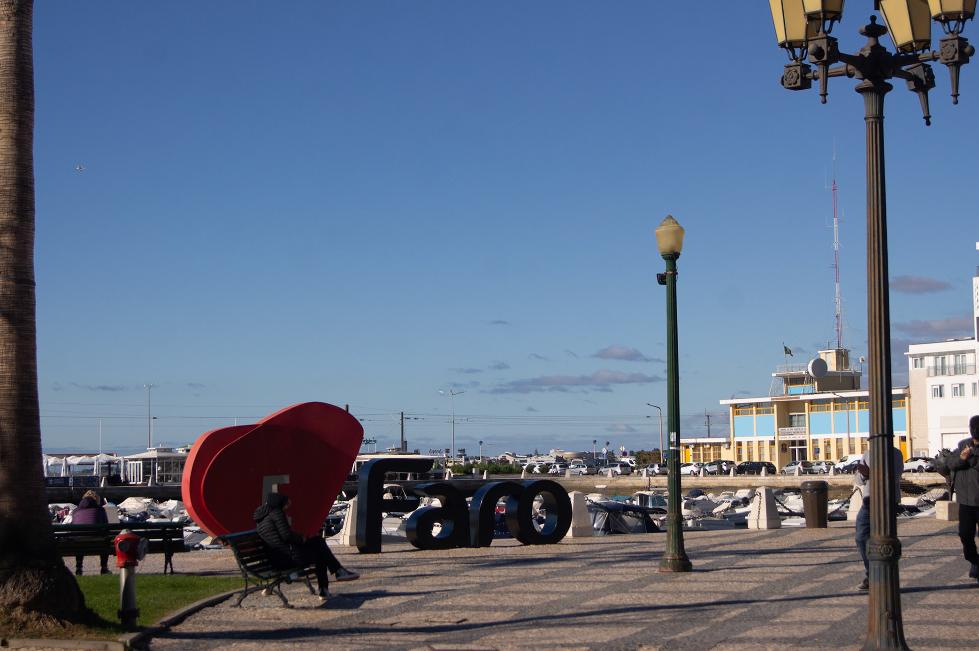 SONY DSC