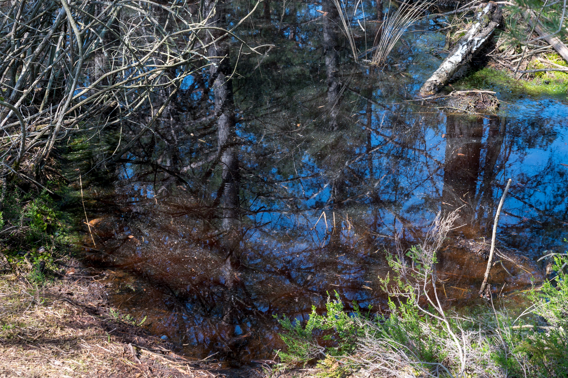 miroir