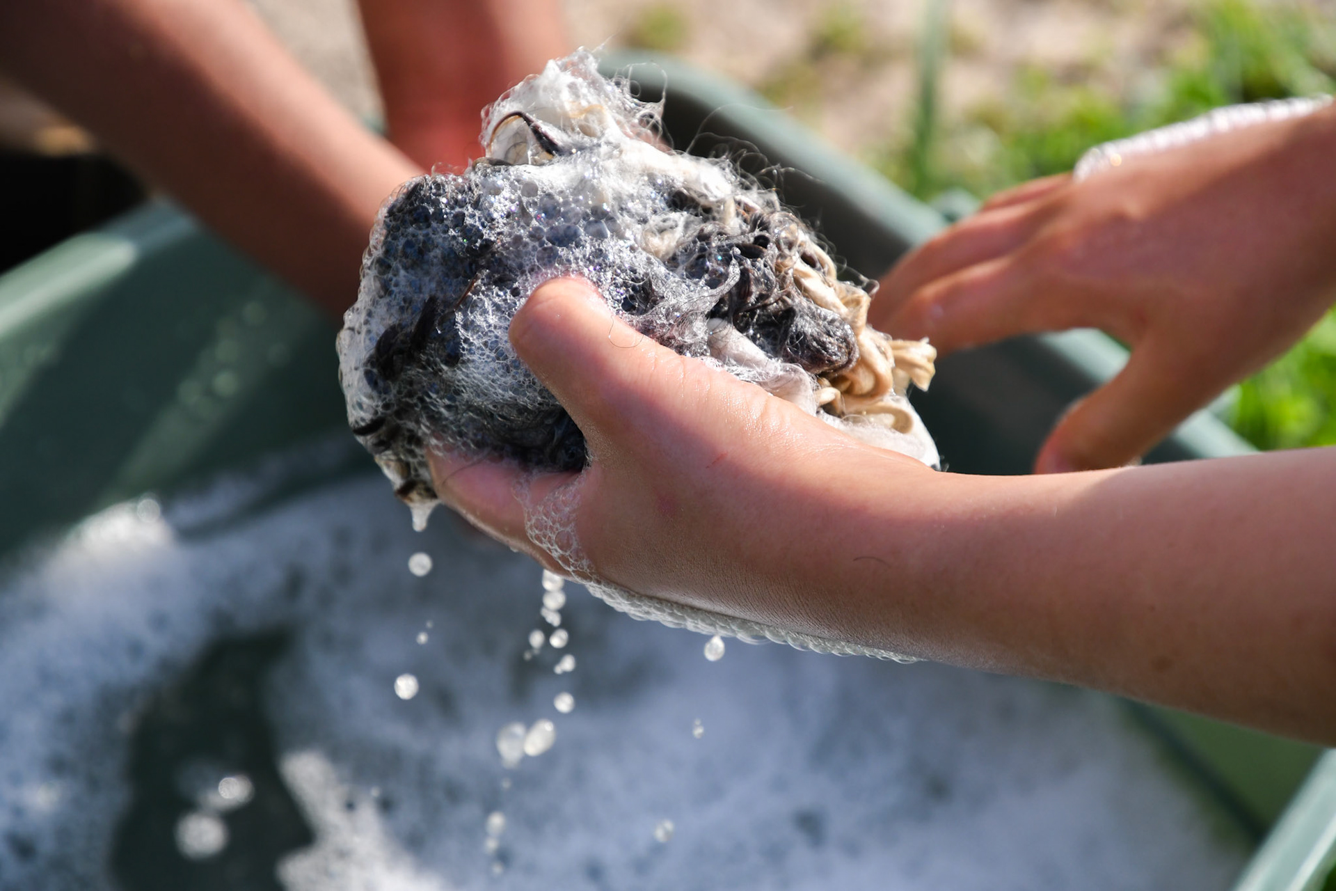 Washing the wool