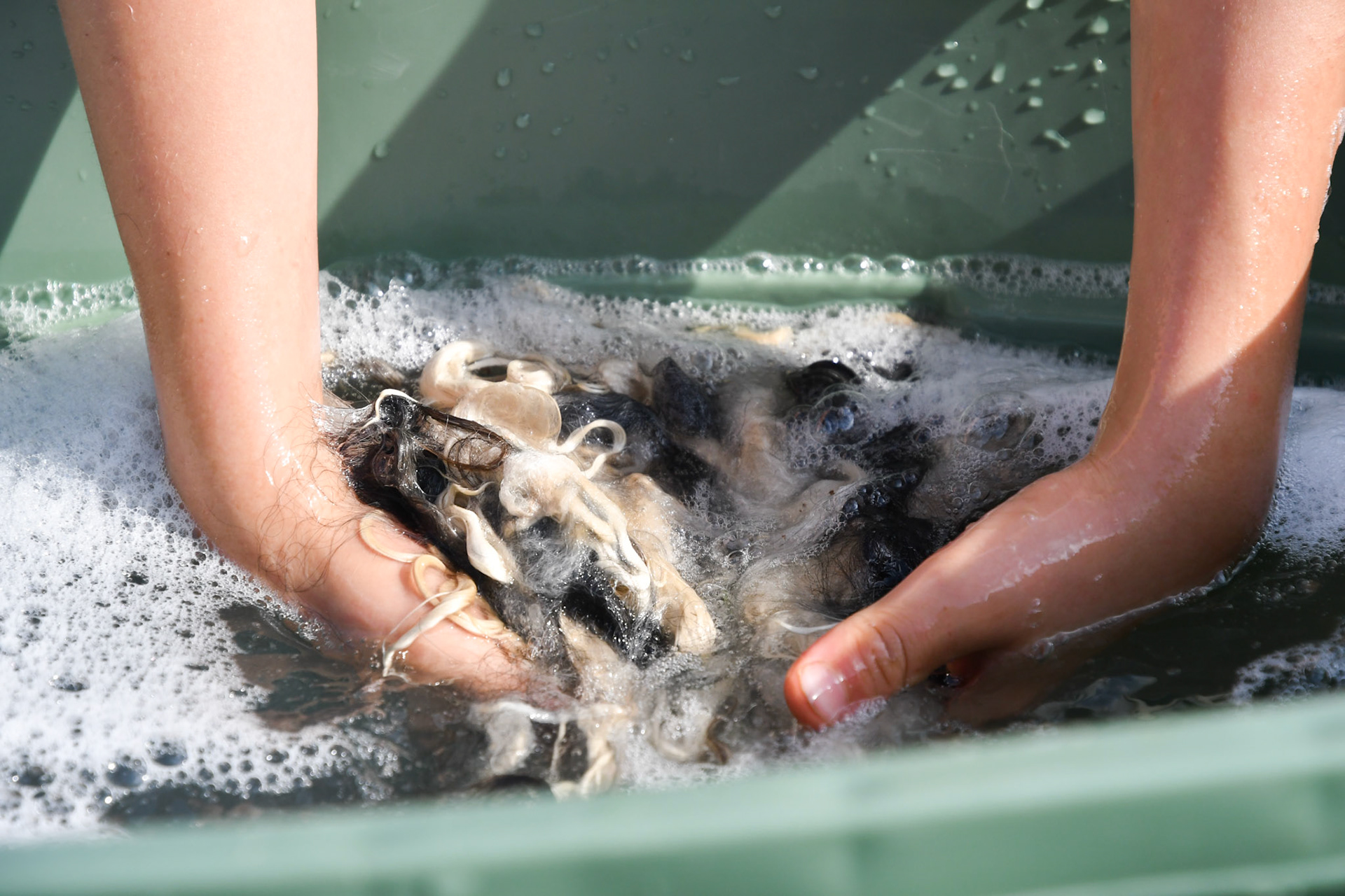 Washing the wool 3