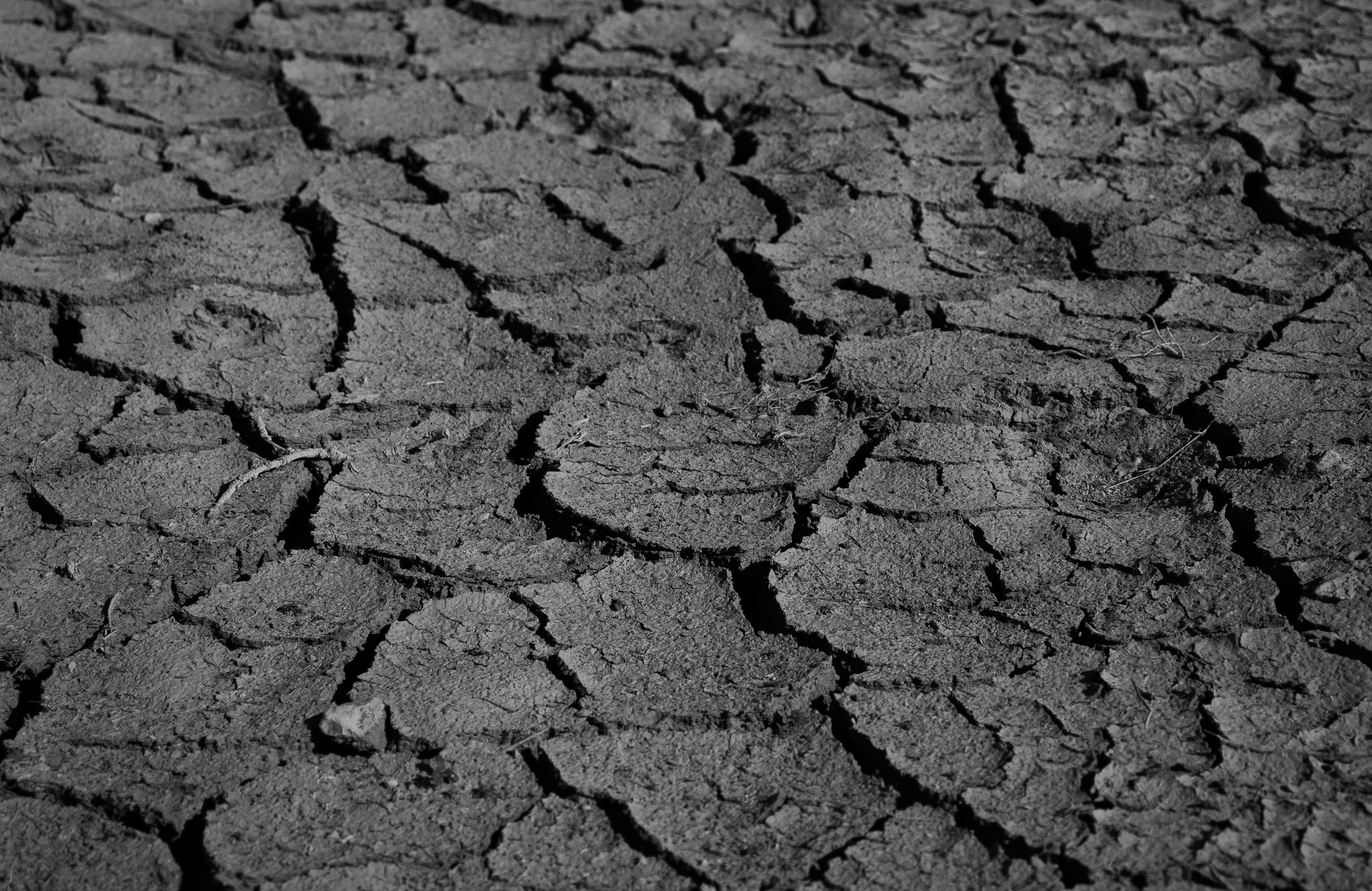 Ground Near Attebury Grain