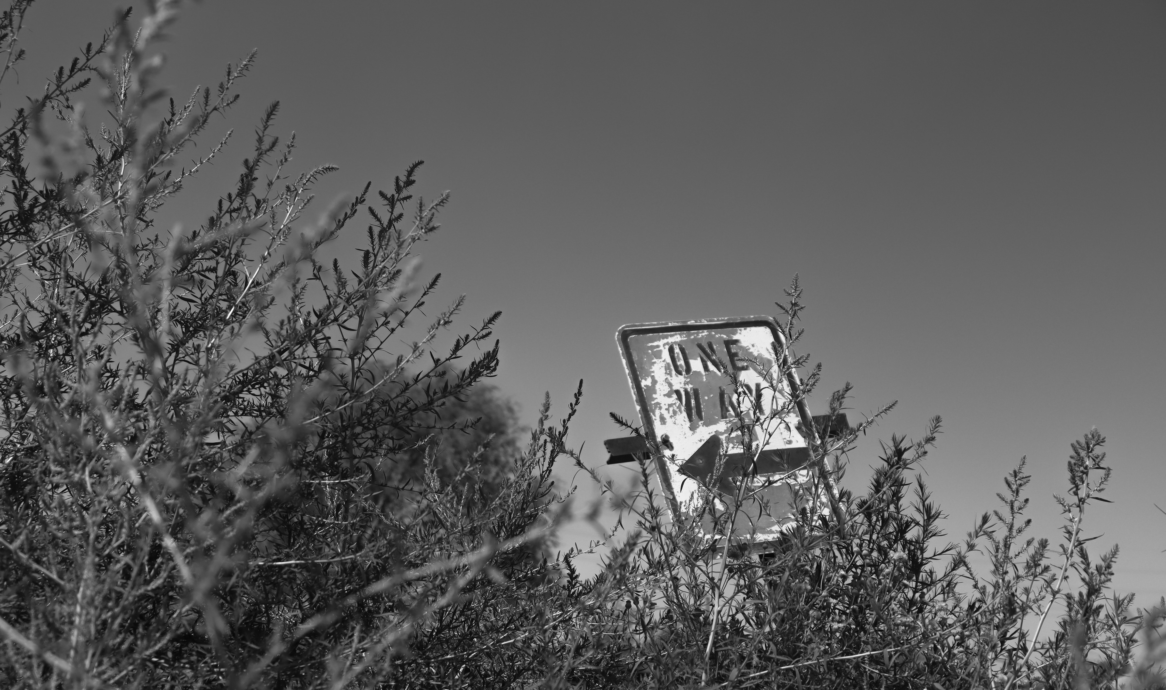 Cone Elevator of Lubbock
