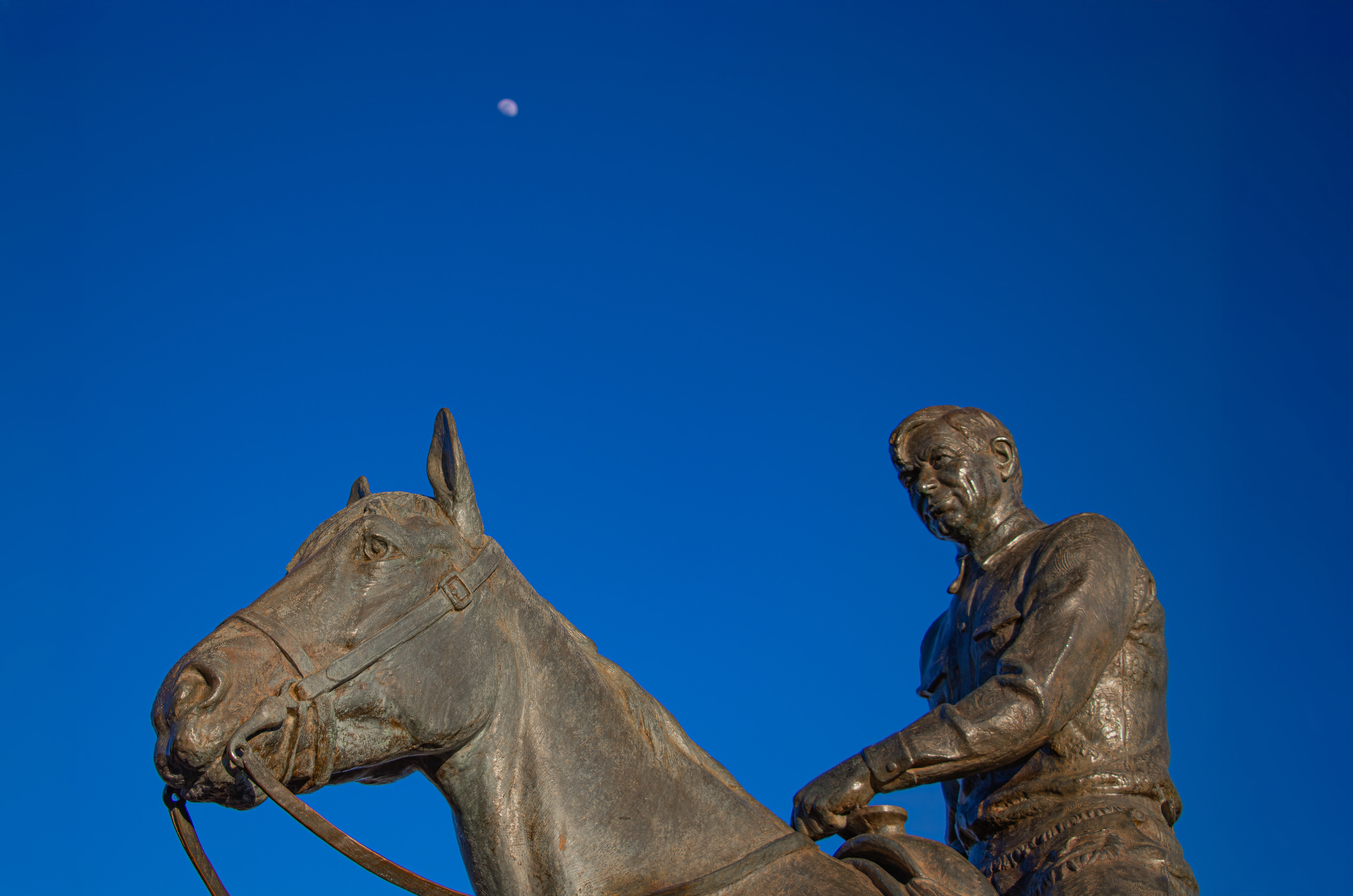 Will Rogers & Soapsuds, Memorial Circle