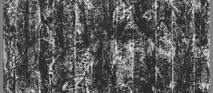 weaving: Flat BMP file filled with satin weaves FOR MACHINE WEAVING