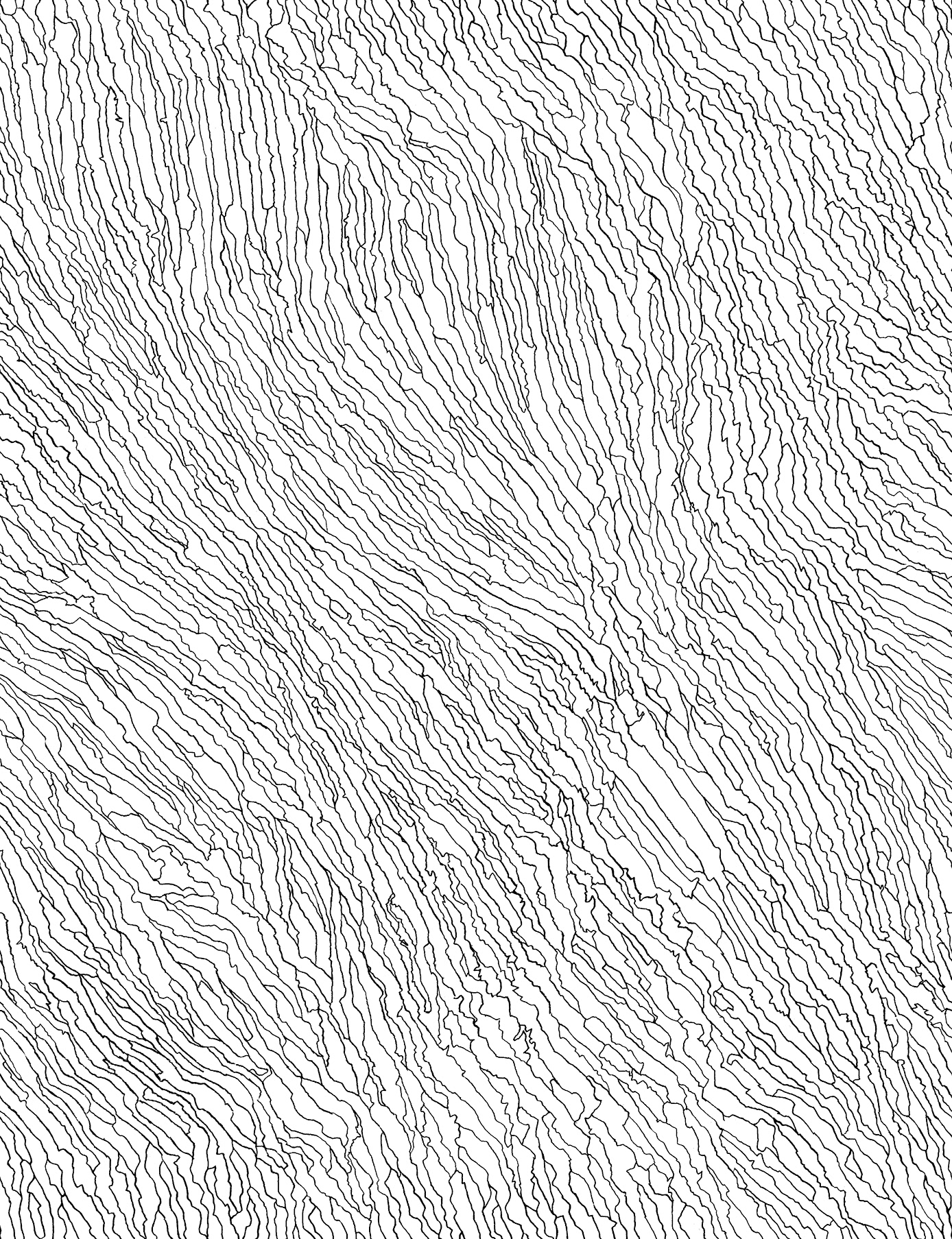 print Artwork Men's : Watercourse - line work