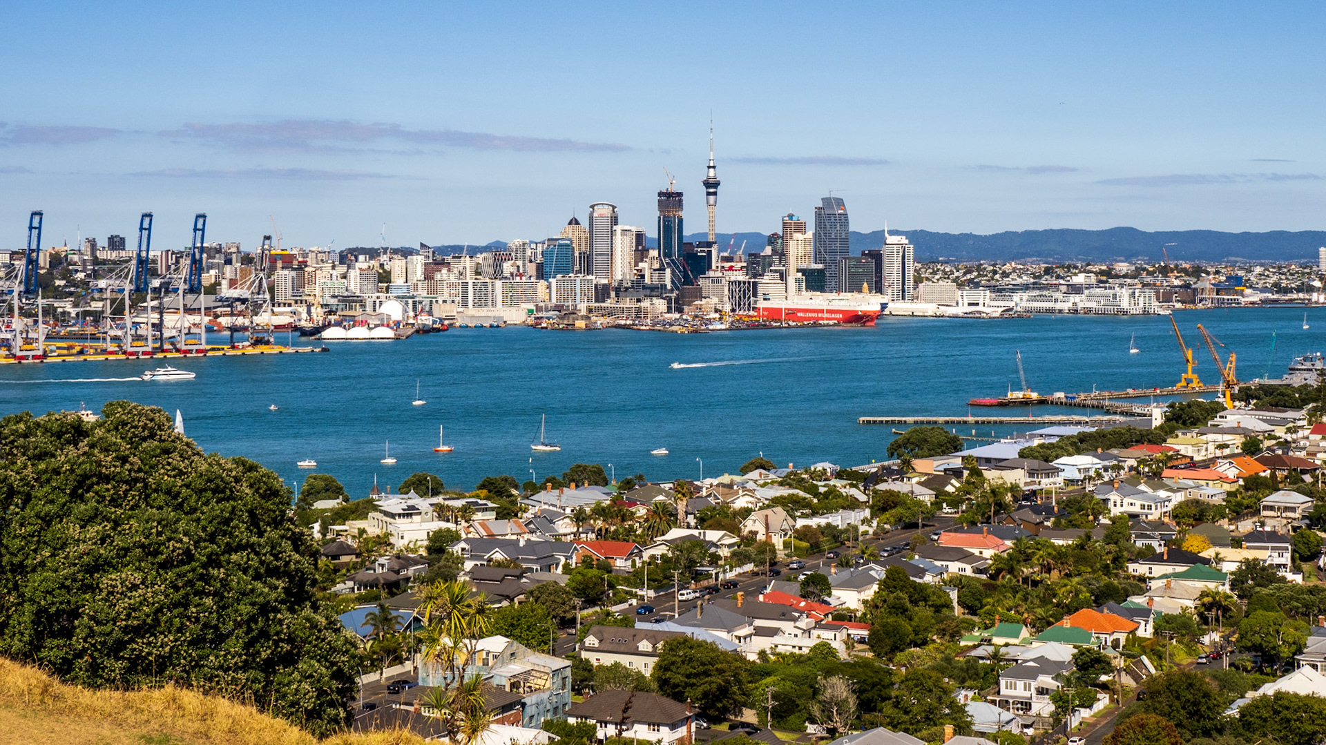 Auckland