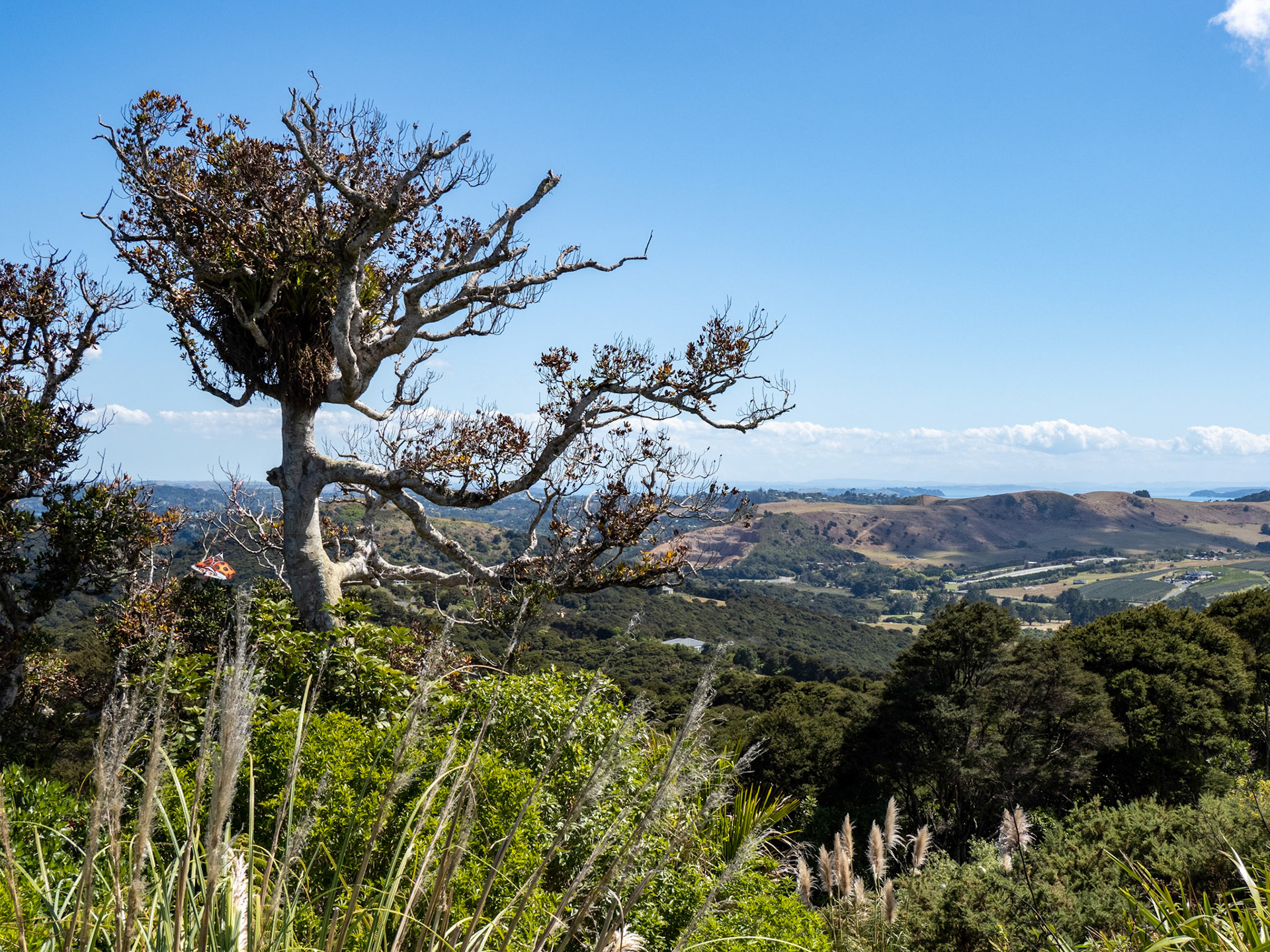 Views from Batch Winery, Waiheke Island