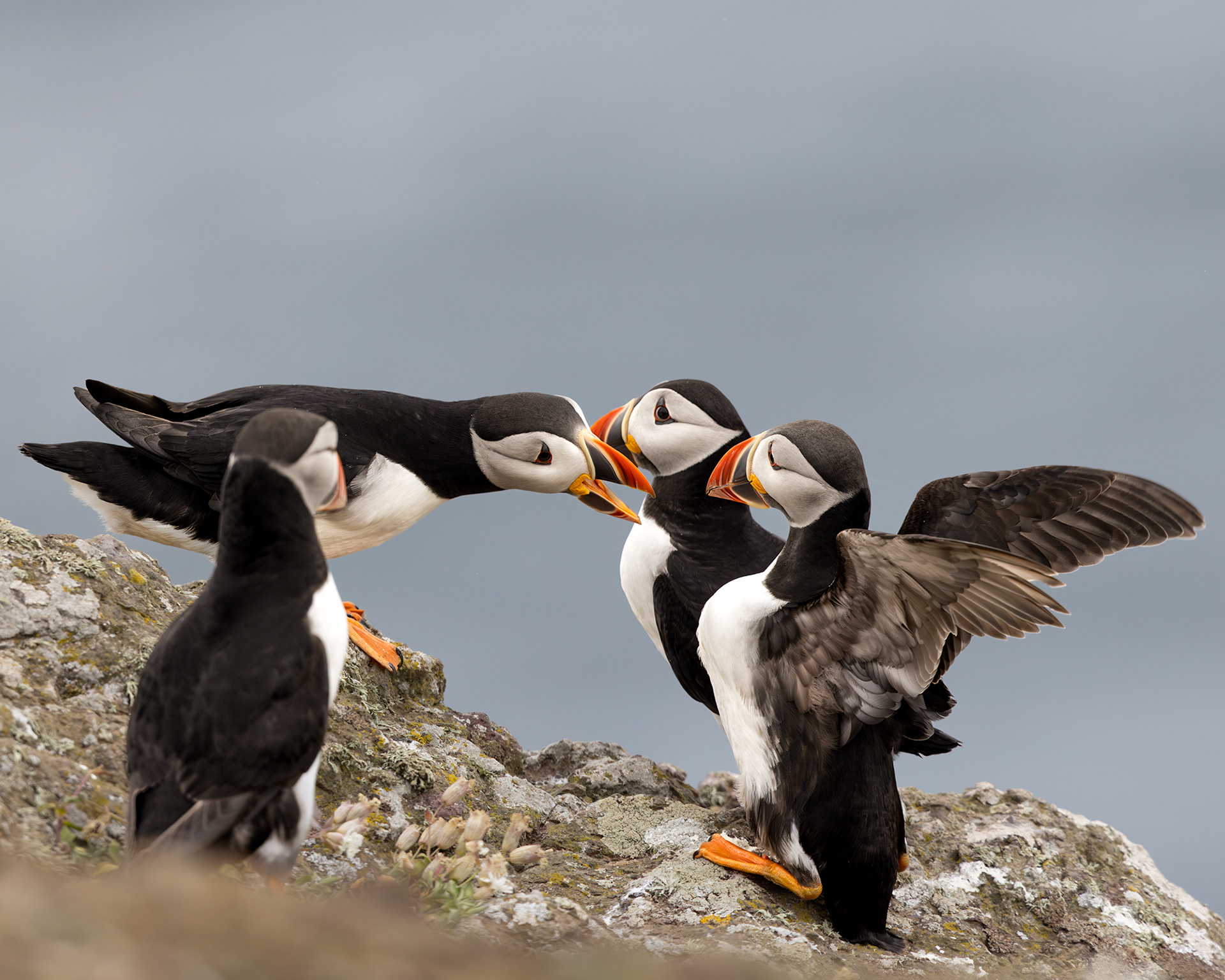 What did you just say?