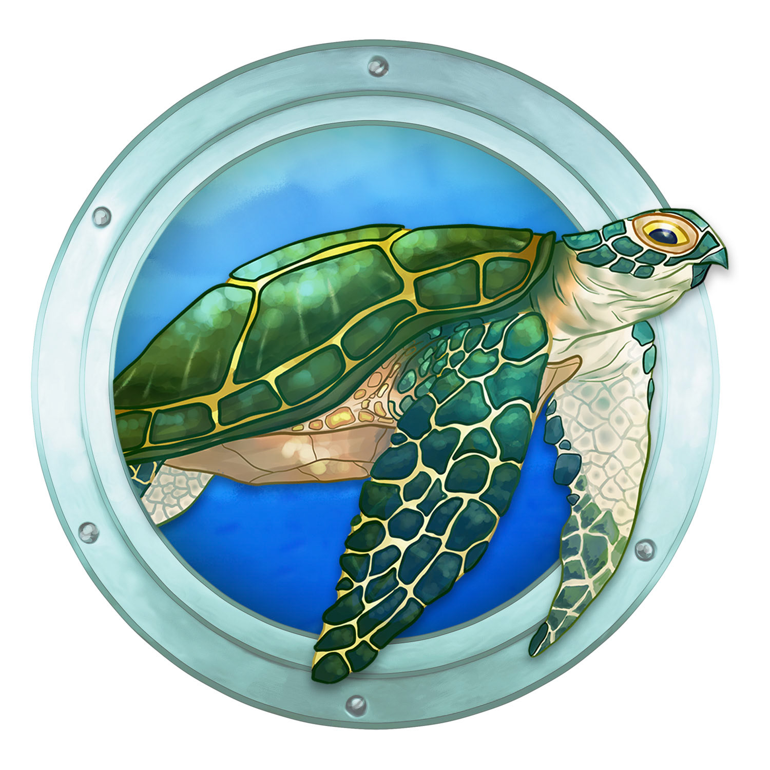 Sea Turtle