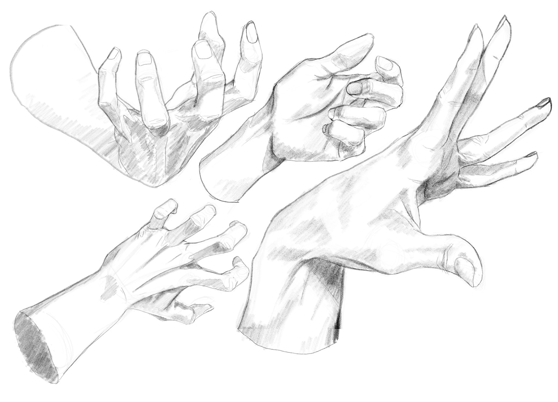Hand Study