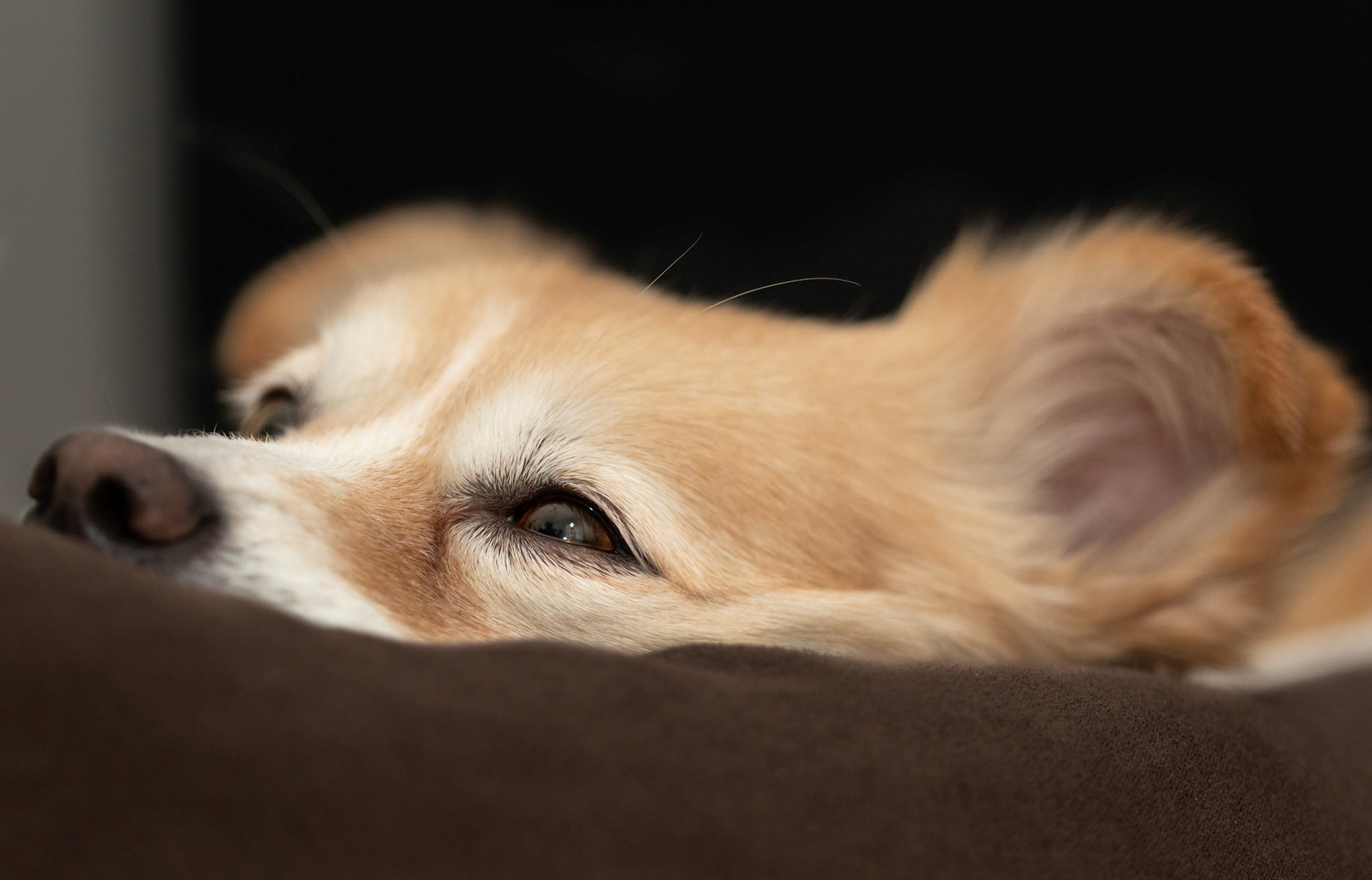 First shot with my new camera!