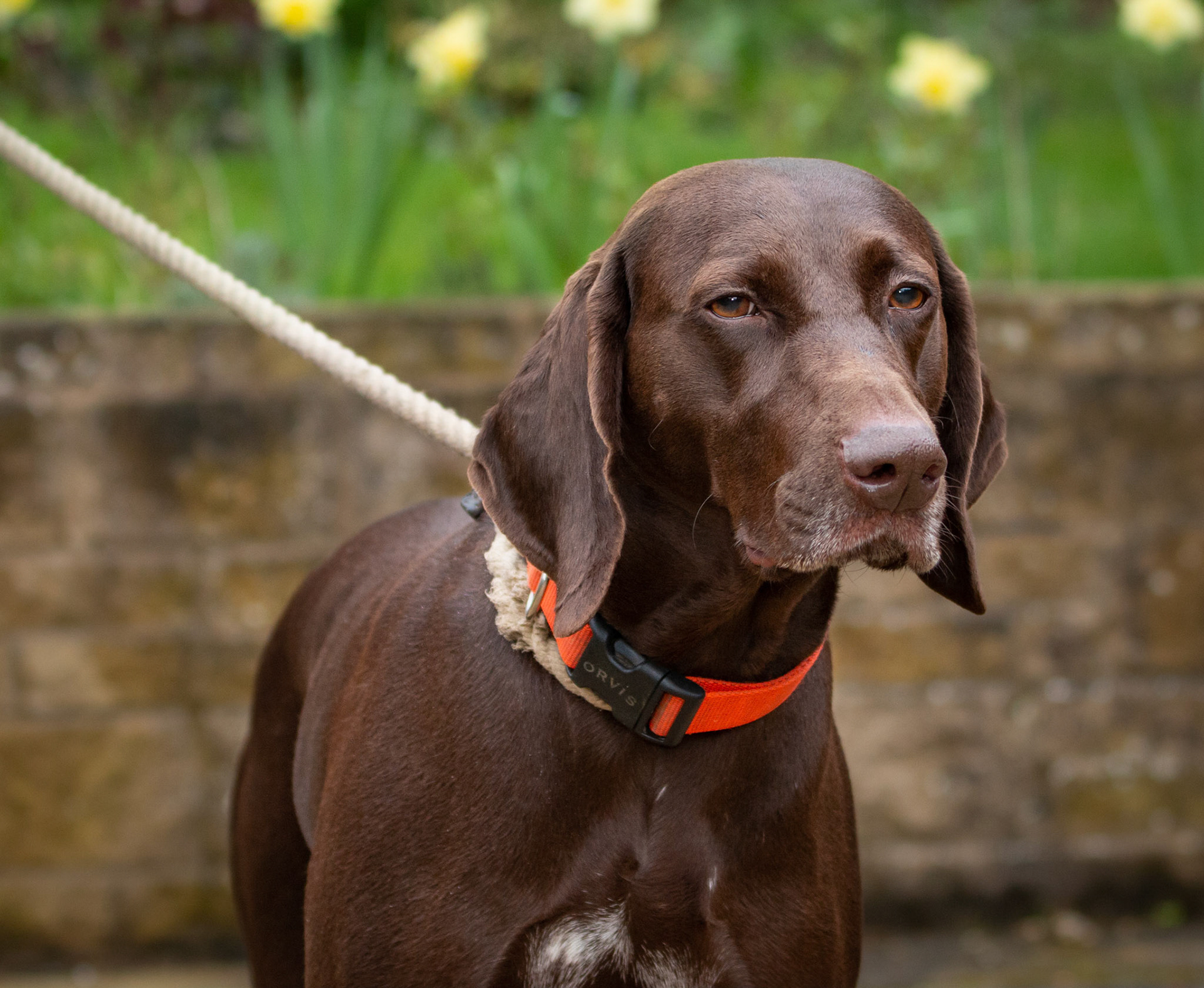 Moss, standing still for once!