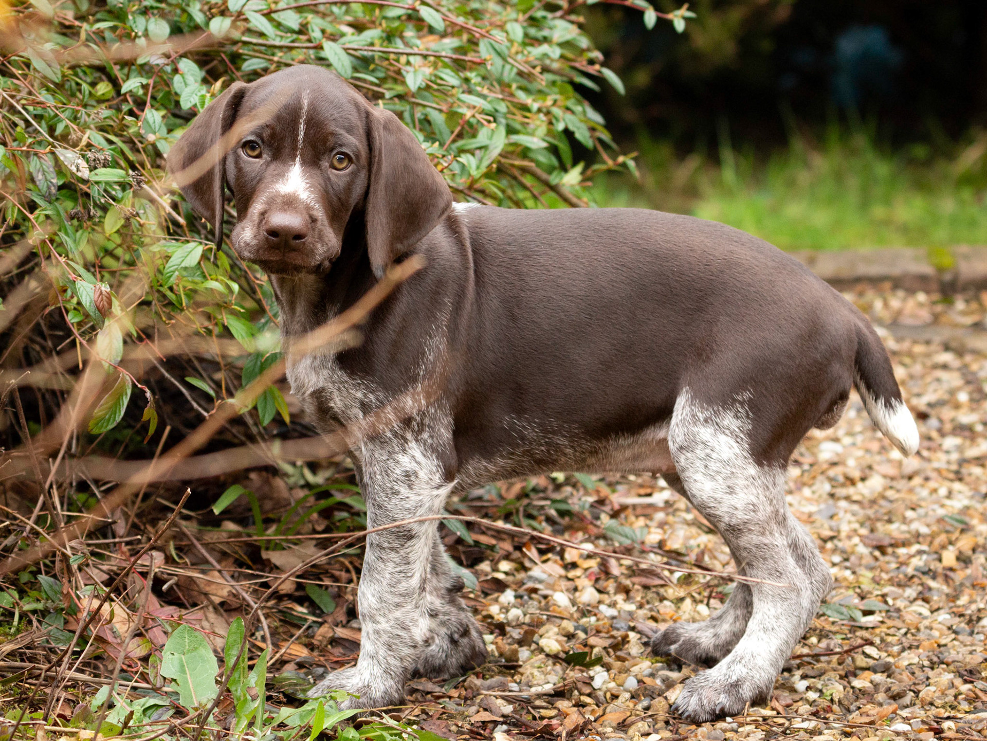 Purdey, being mischievous!