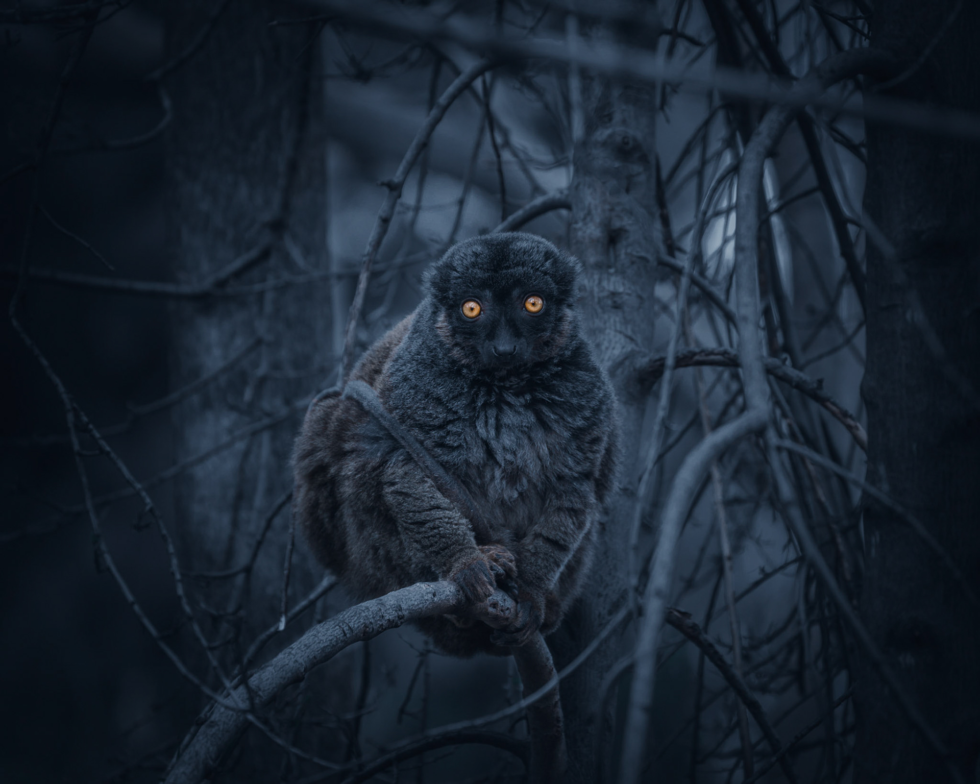 I tried something different with this photo and went a bit crazy with the editing! In the end though, I really like the way it turned out!