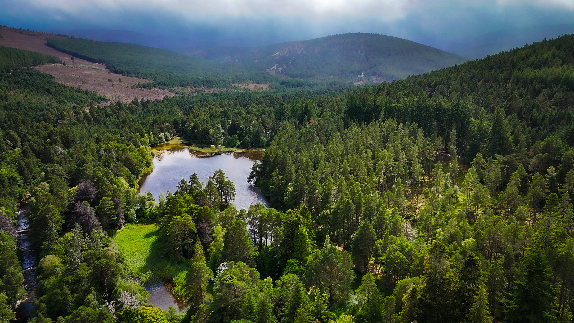 Drone Photography of secluded lake in an ancient forest surrounded by misty hills in the Scottish Highlands in an environmental documentary