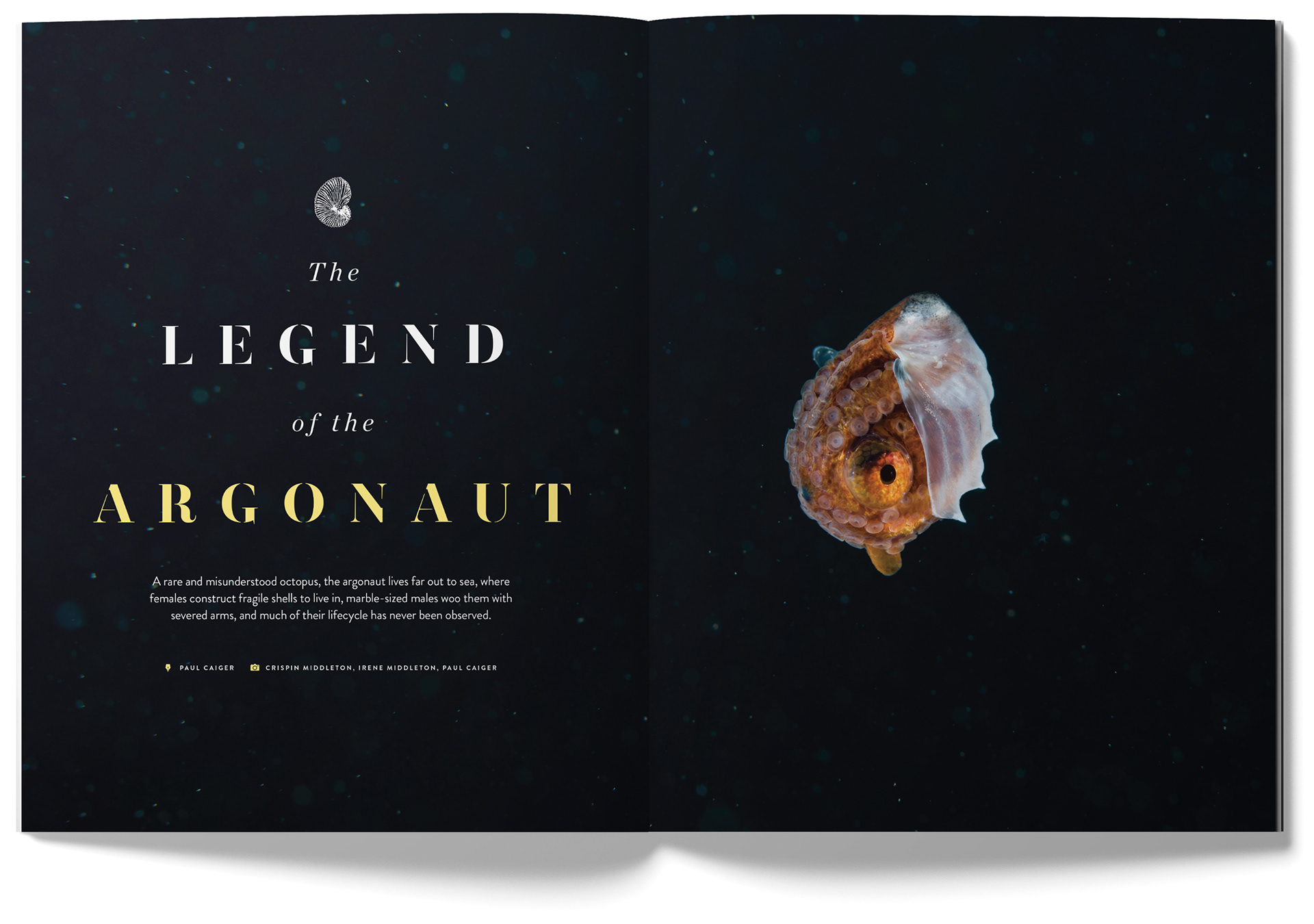 New Zealand Geographic Spread: Legend of the Argonaut