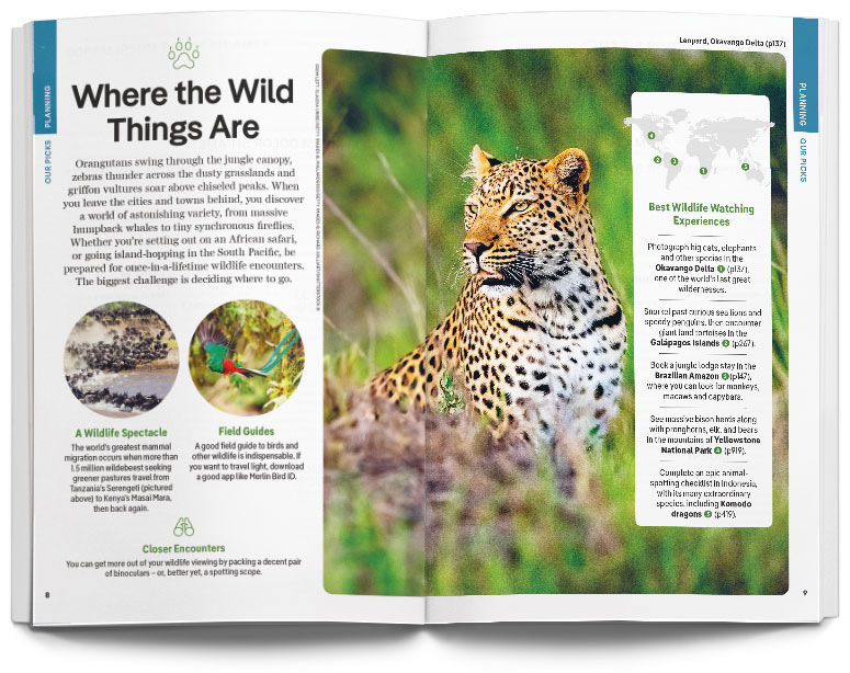 Lonely Planet The World Spread: Our Picks