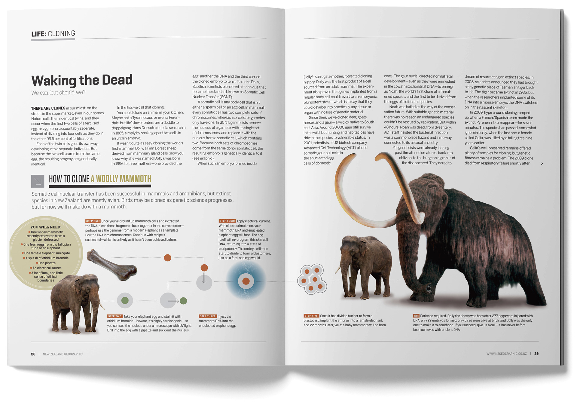 New Zealand Geographic Spread: Cloning