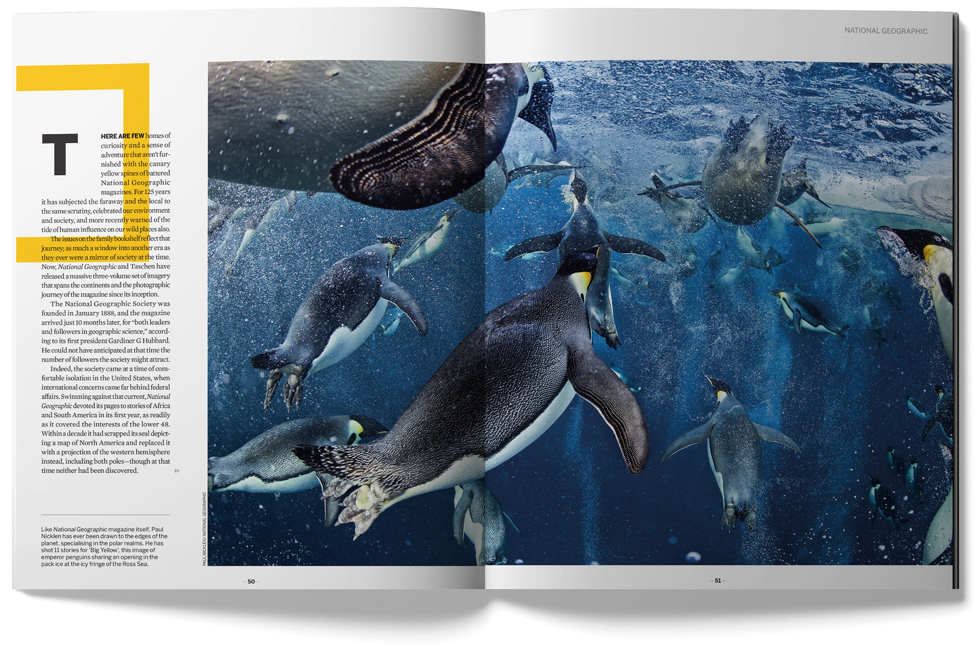 PRO Photographer feature - National Geographic 2. Designed by Marc Backwell
