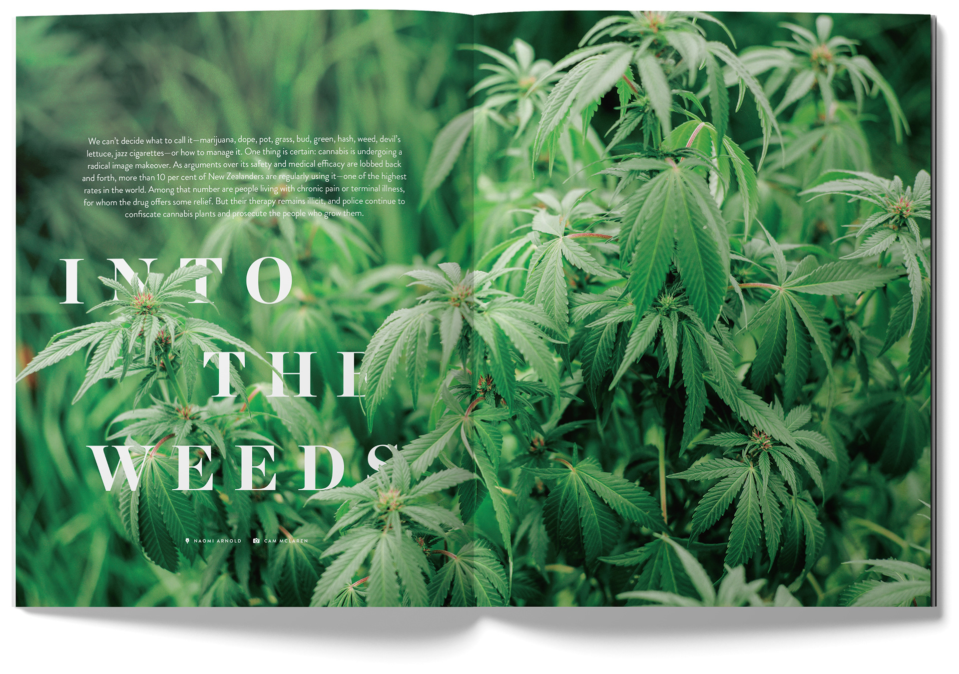 New Zealand Geographic Spread: Into the Weeds
