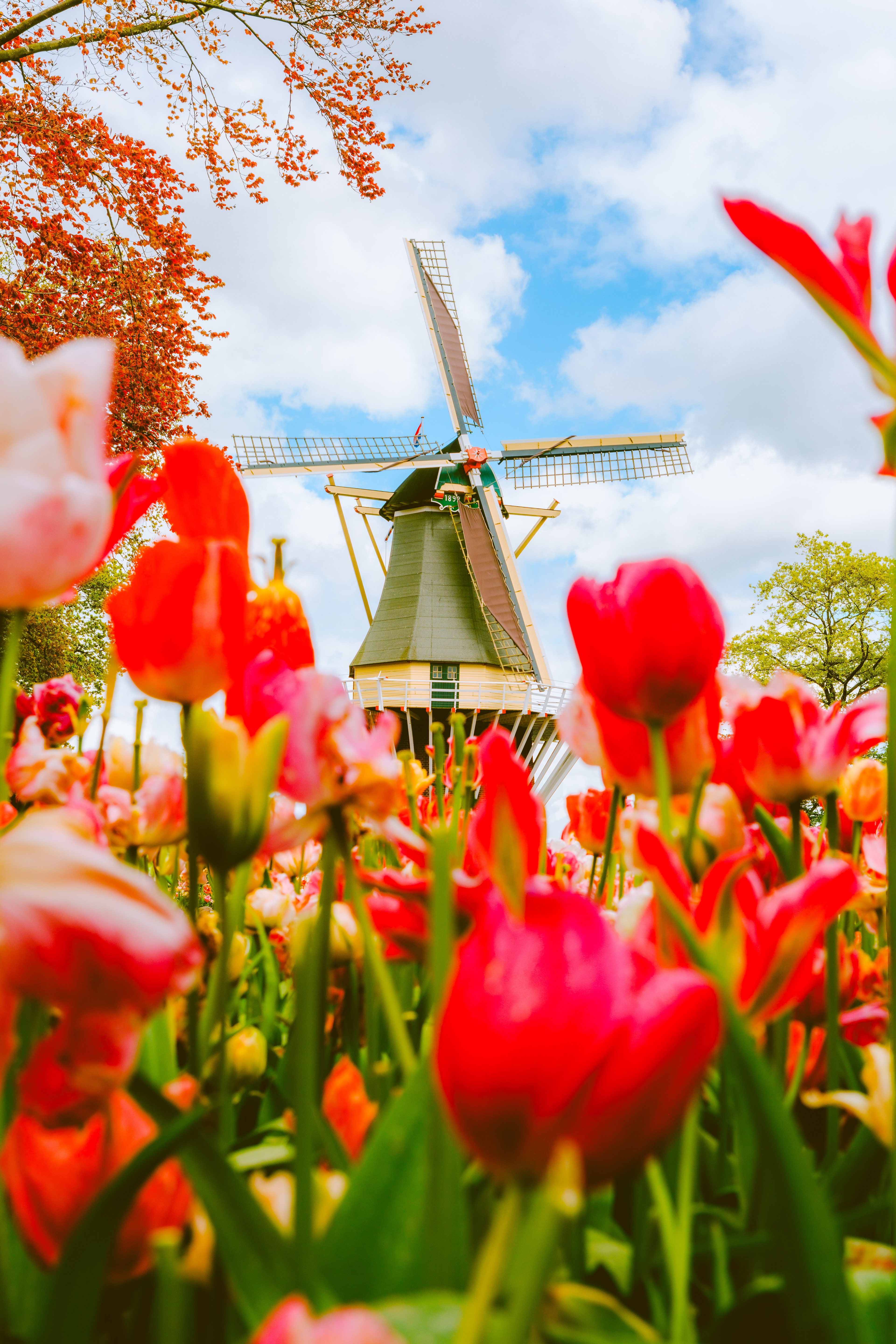 Keukenhof