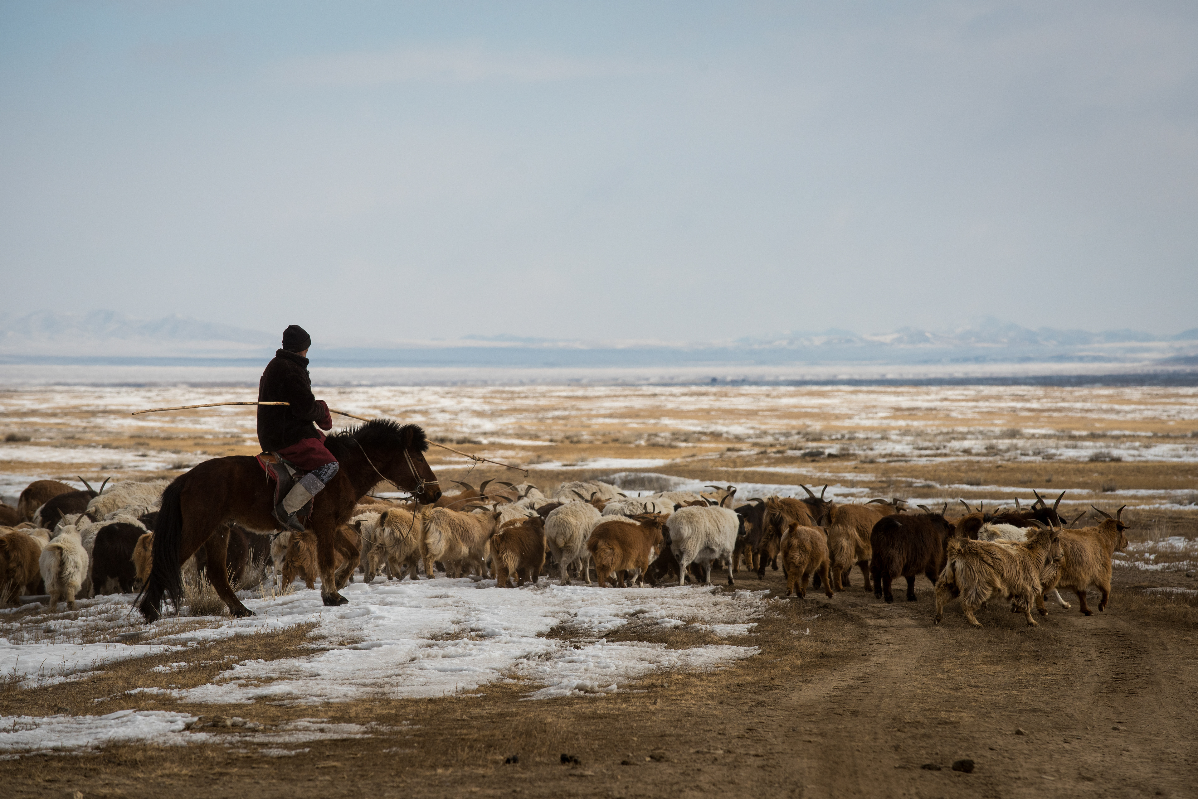 Ulan Bataar, Mongolia