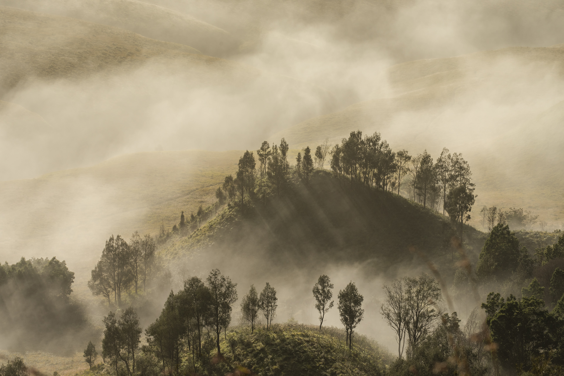 Mt Bromo, Indonesia