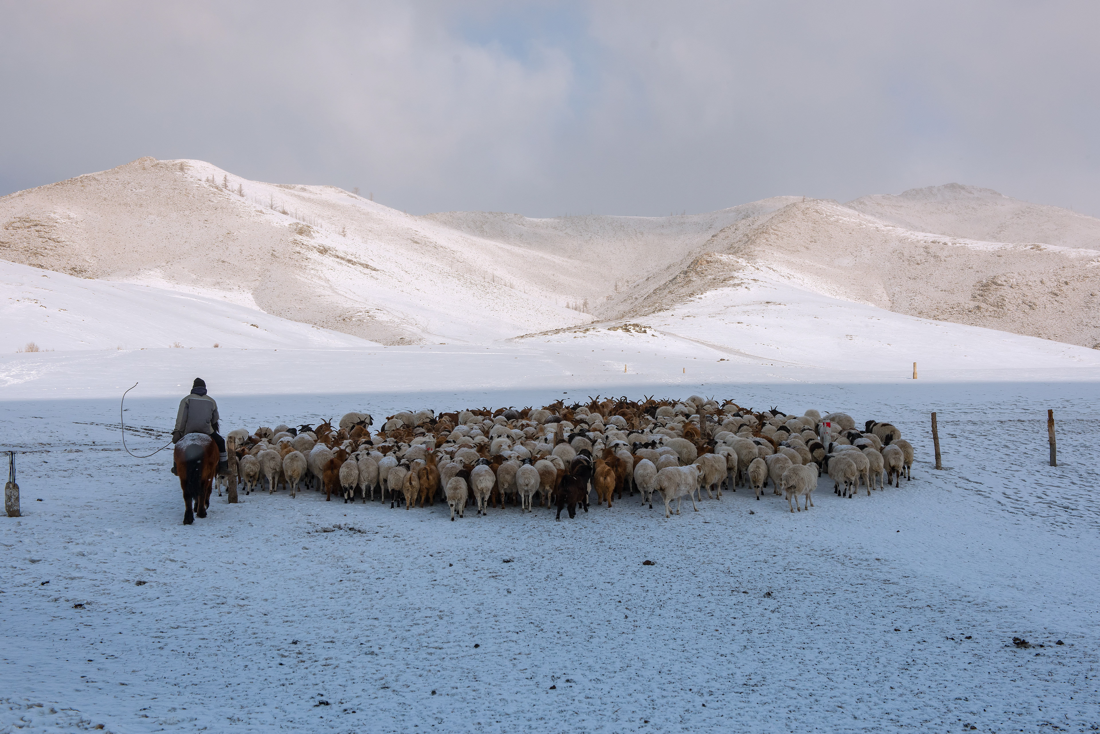 Mongolia