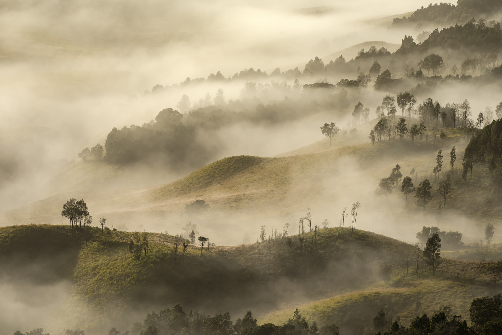 Mt Bromo, Indonesia