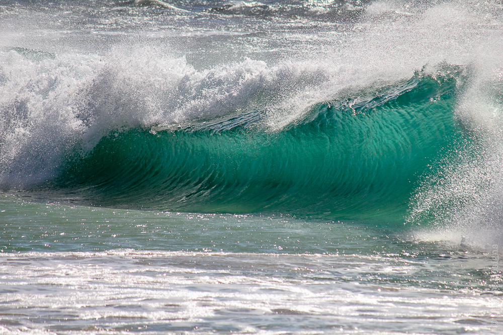 Signature Image Range _Water 10