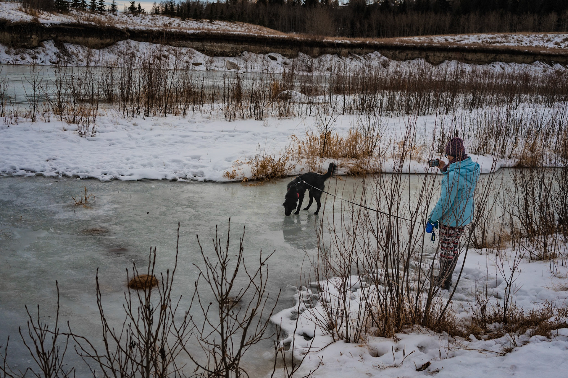 Walk on the ice