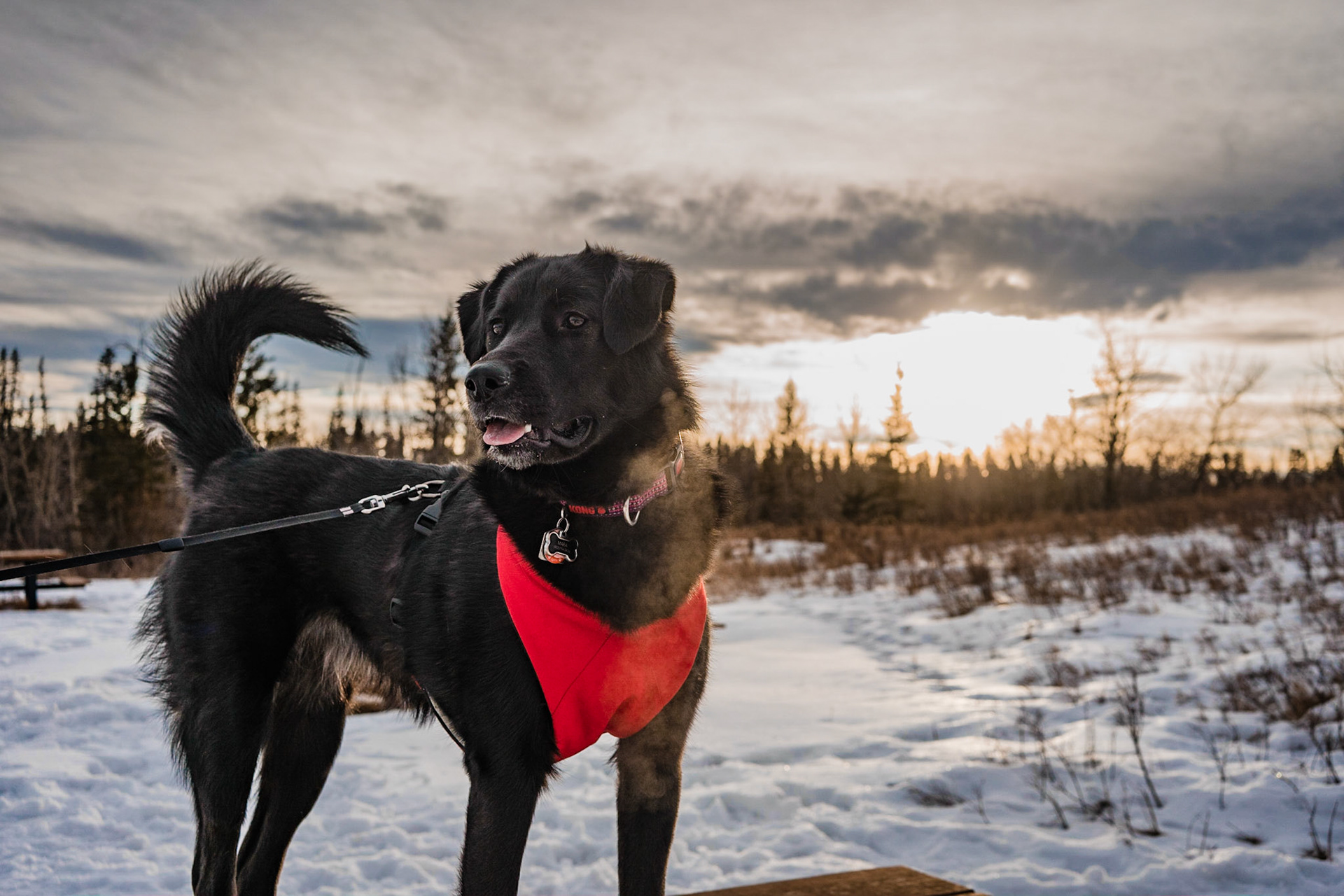 Mara's winter portrait at Votier’s Flats