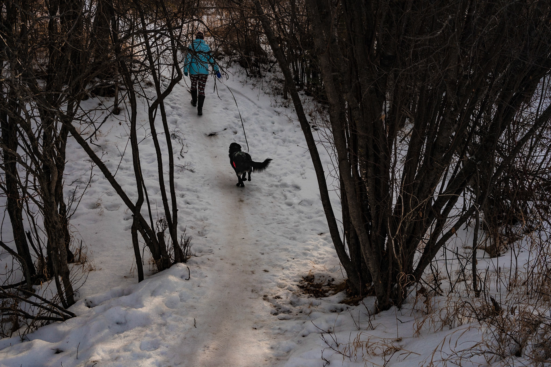 Running in the park