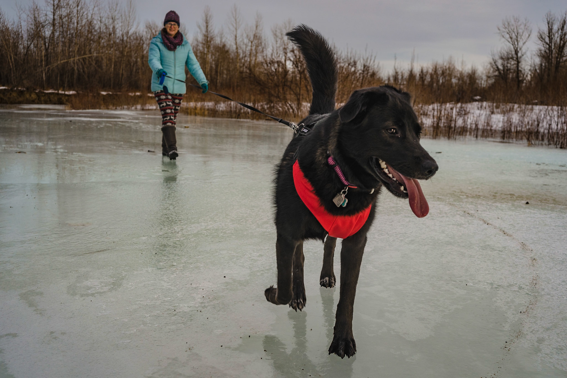 Mara and Olena walking on ice